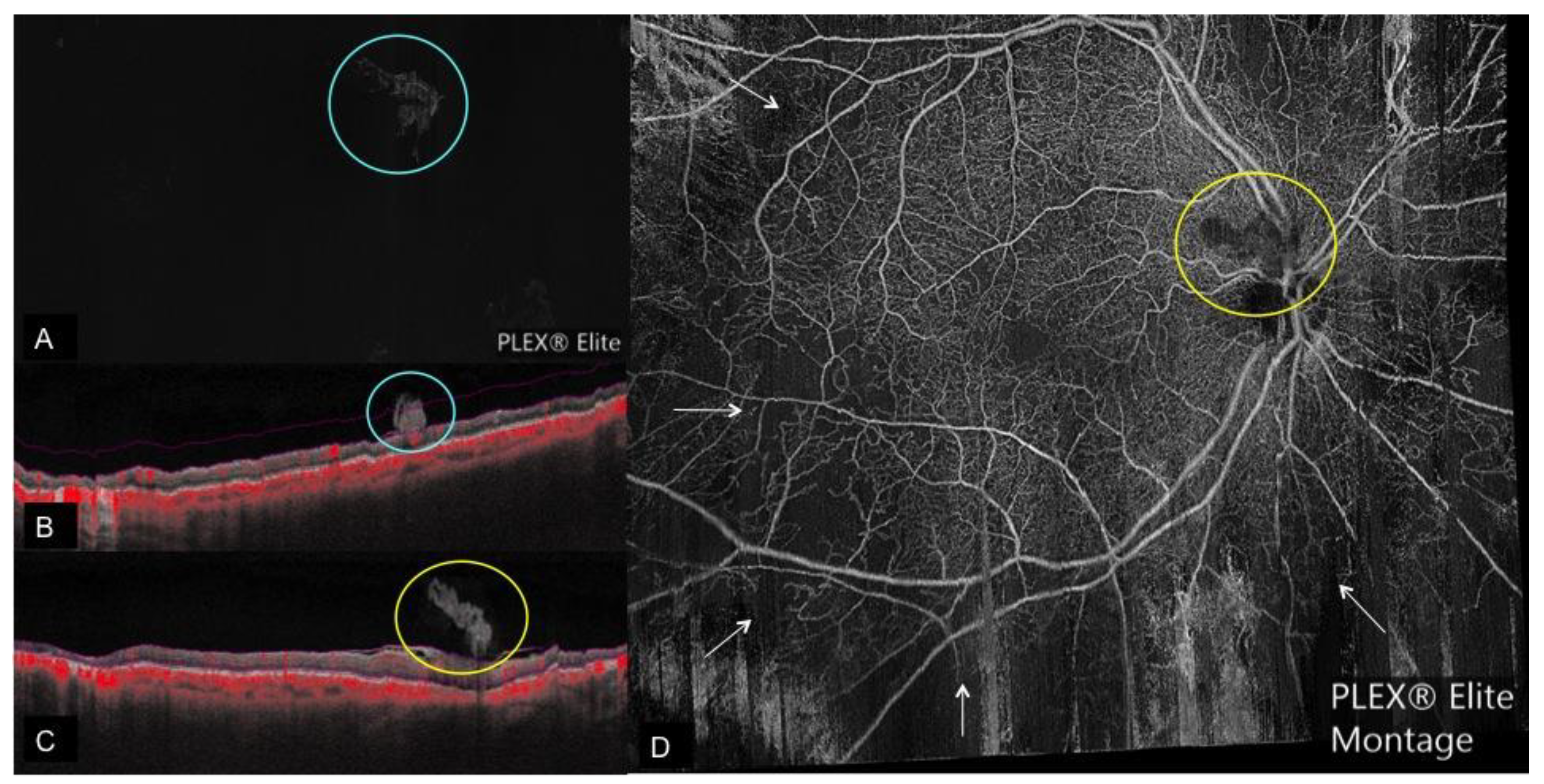 Applsci 09 02577 g002