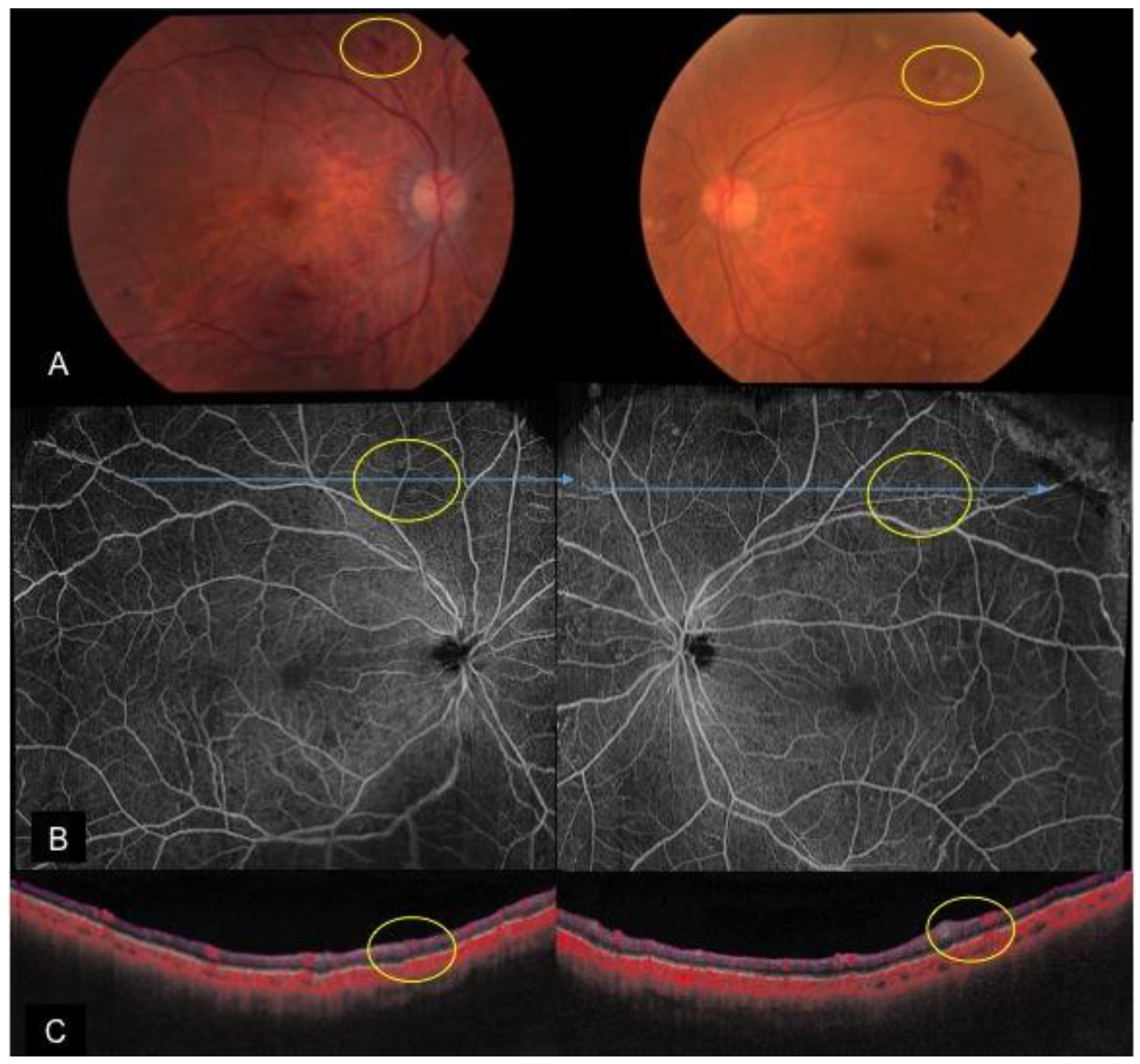 Applsci 09 02577 g003
