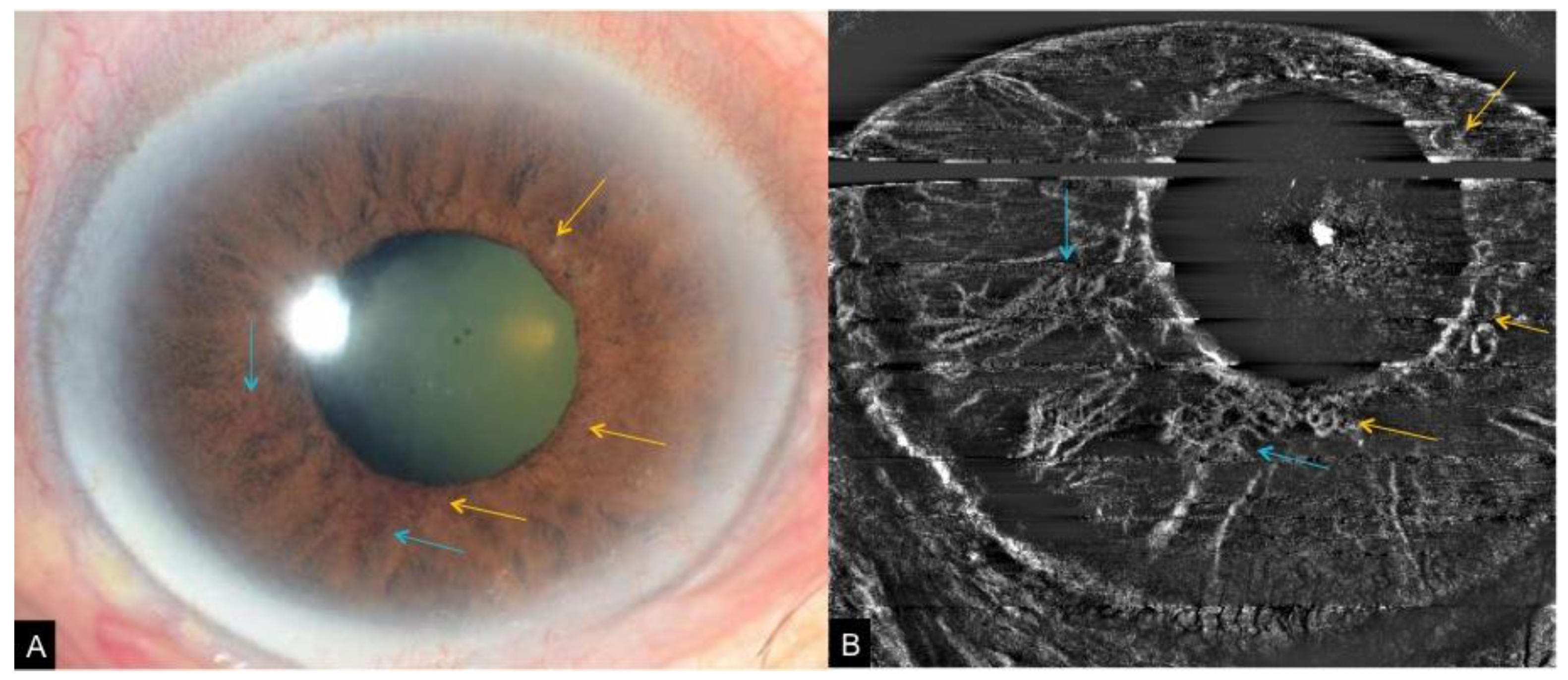 Applsci 09 02577 g009