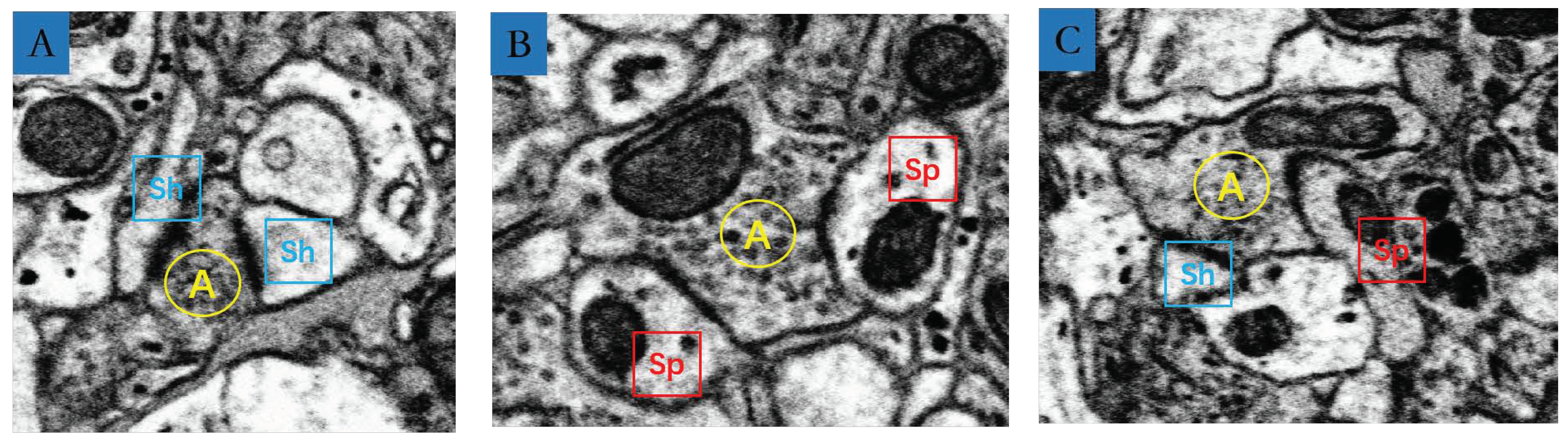 Applsci 09 02591 g015