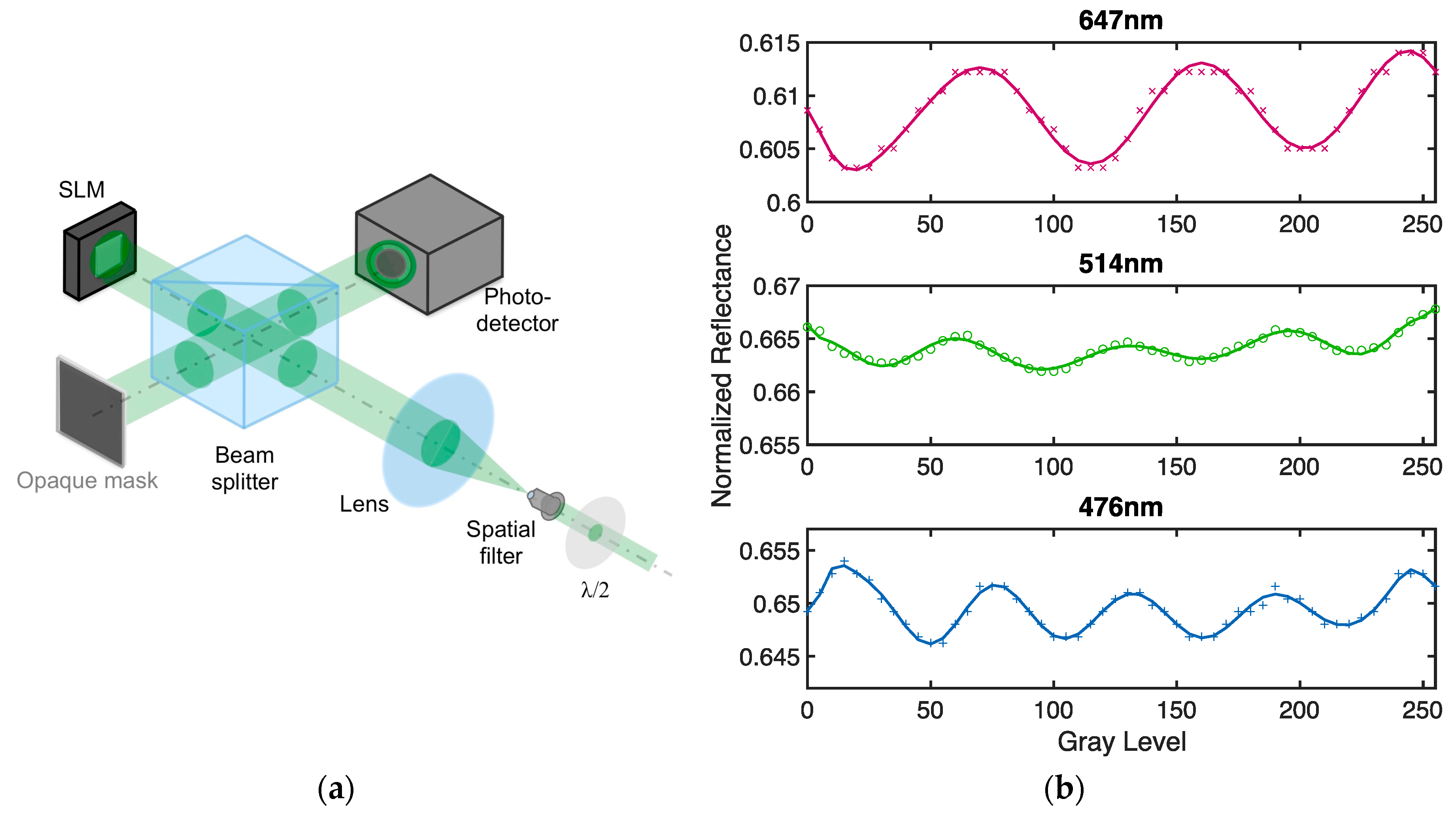Applsci 09 02592 g005