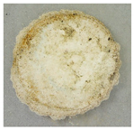 Applsci 09 02642 i004