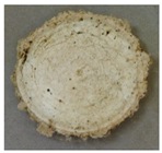 Applsci 09 02642 i007