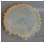 Applsci 09 02642 i009