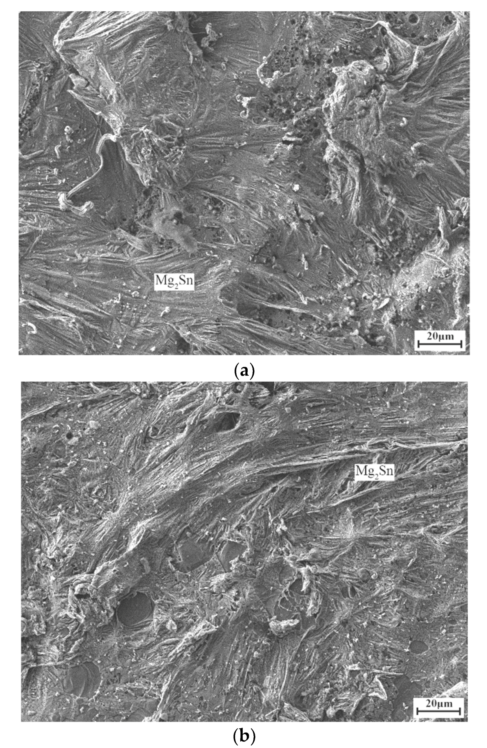 Applsci 09 02655 g004 Applsci 09 02655 g004