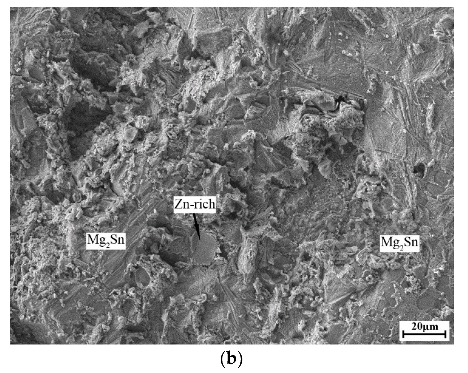 Applsci 09 02655 g006b Applsci 09 02655 g006b