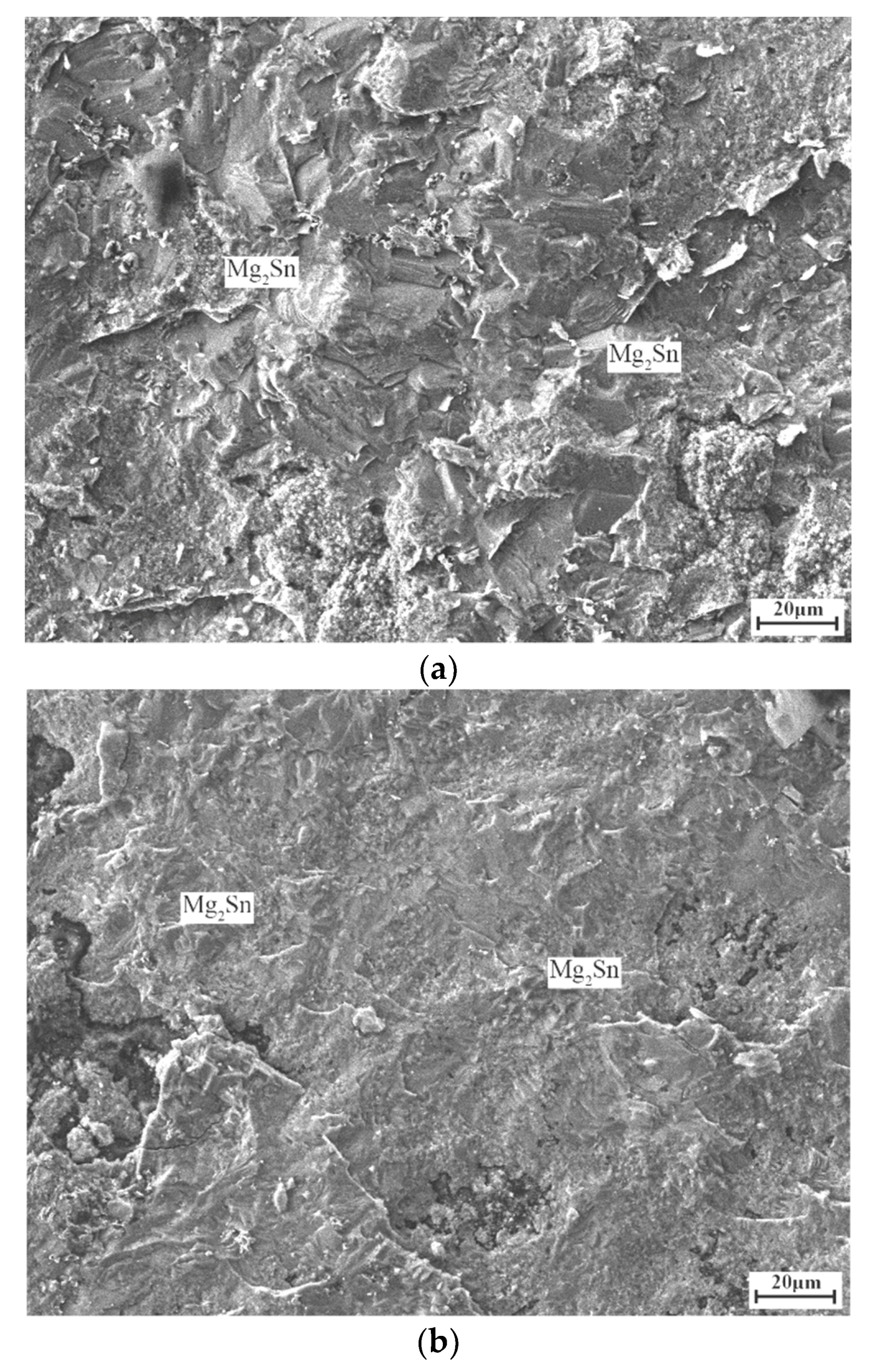 Applsci 09 02655 g013a Applsci 09 02655 g013a