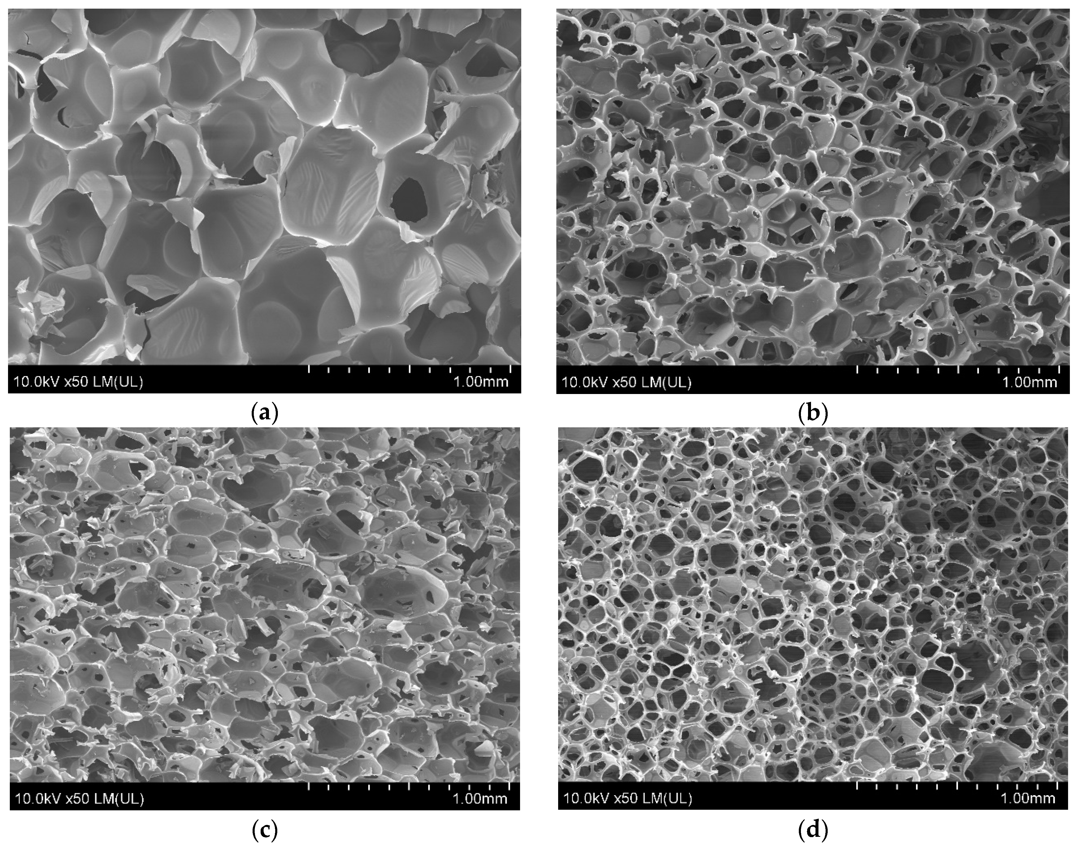 Applsci 09 02663 g005a