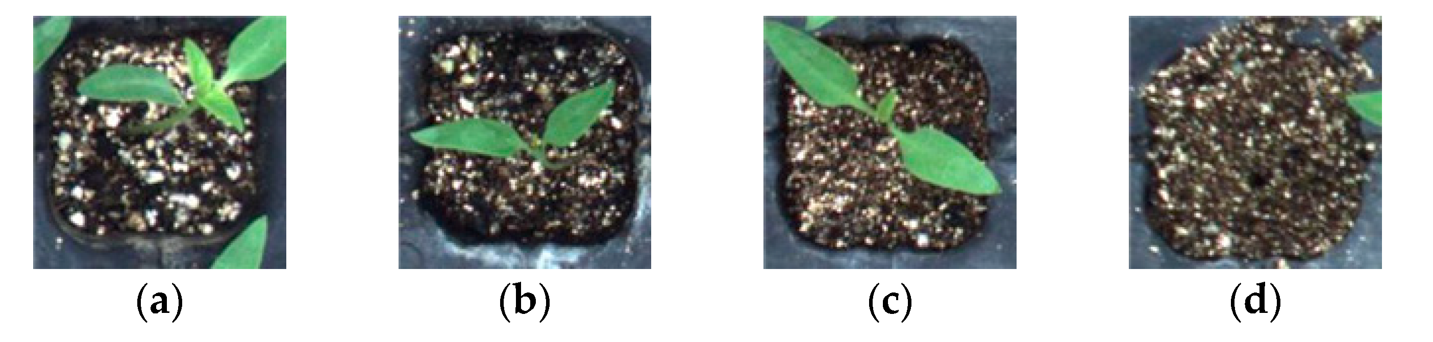 Applsci 09 02725 g003