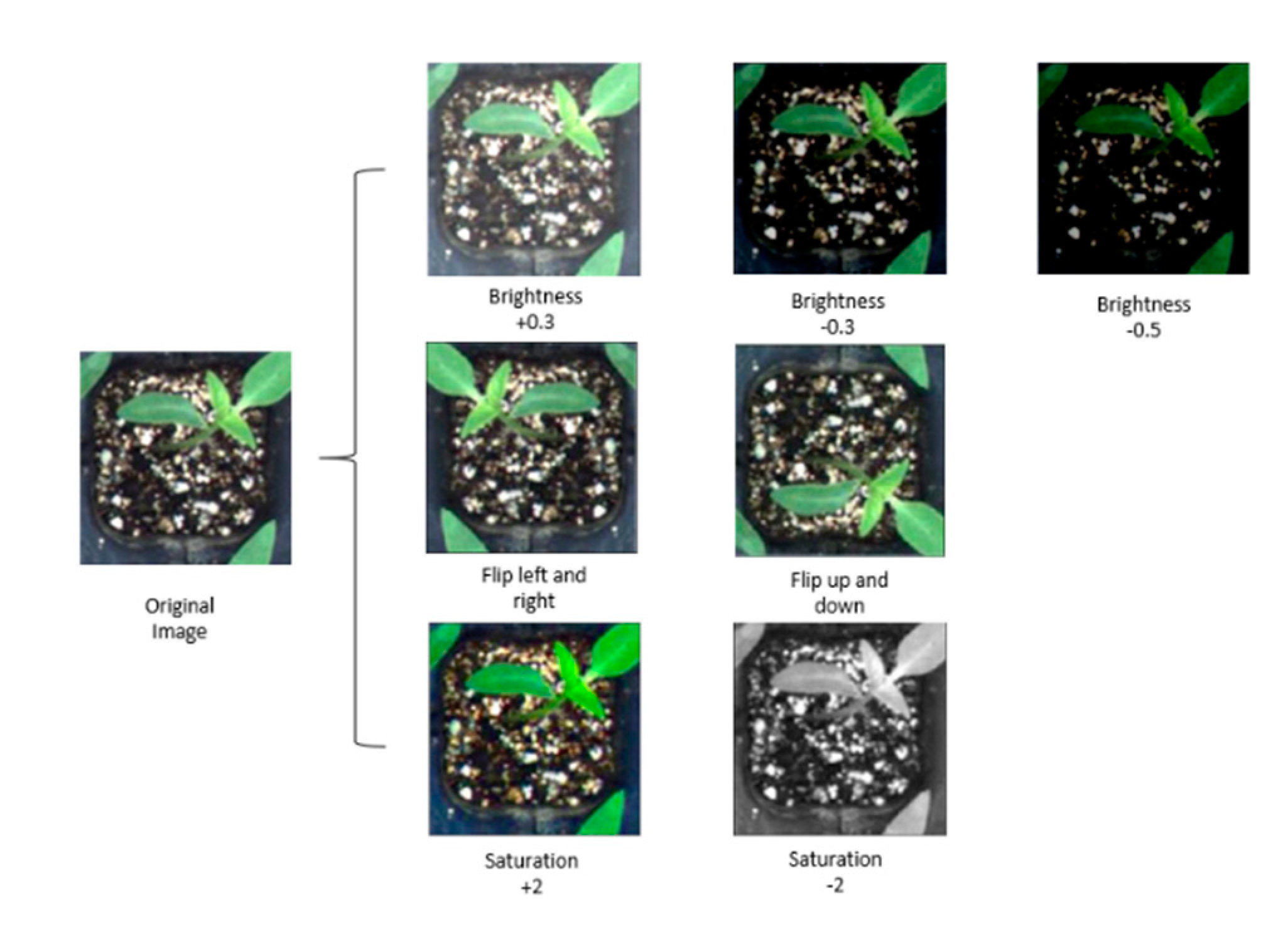 Applsci 09 02725 g007