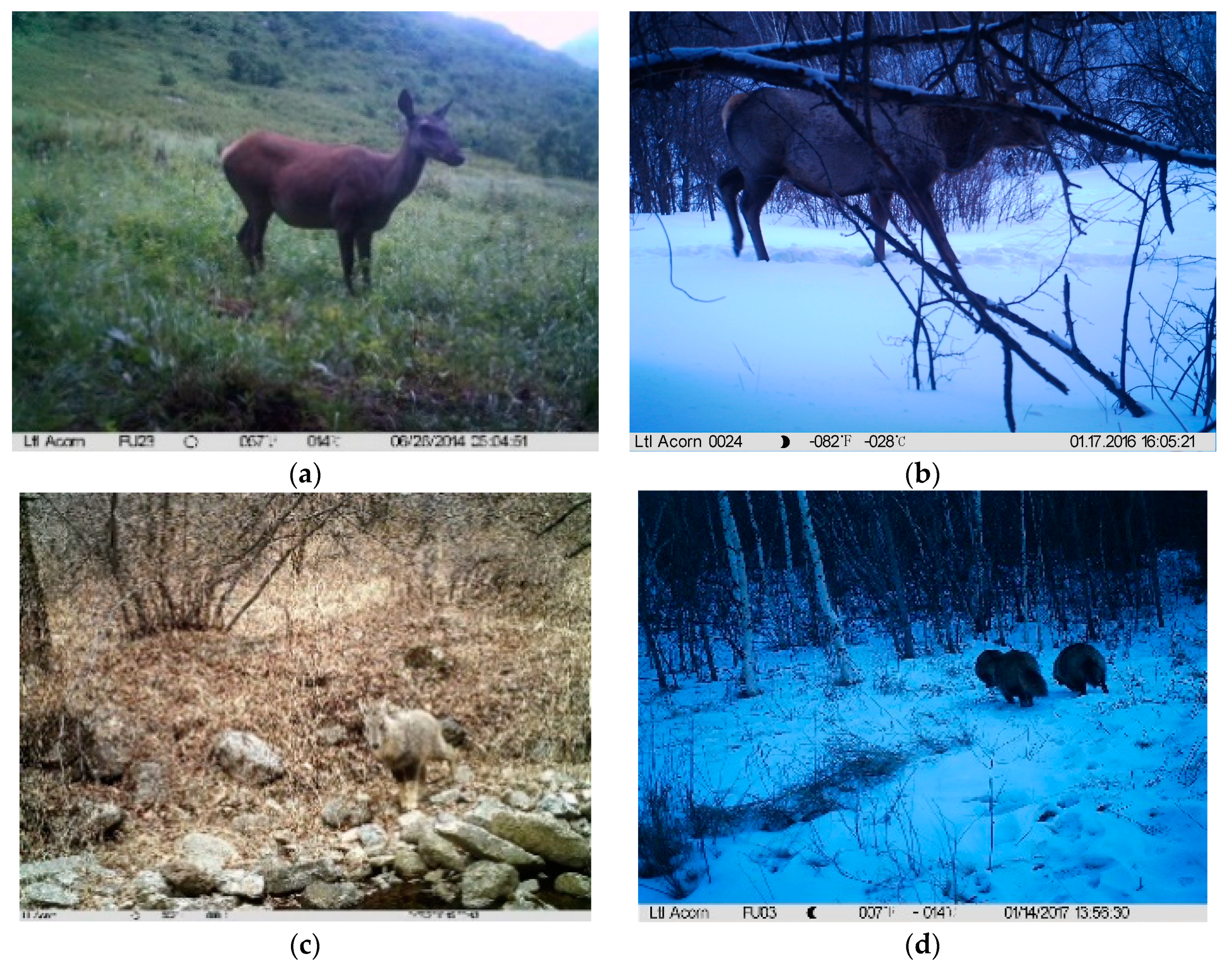 Applsci 09 02794 g005