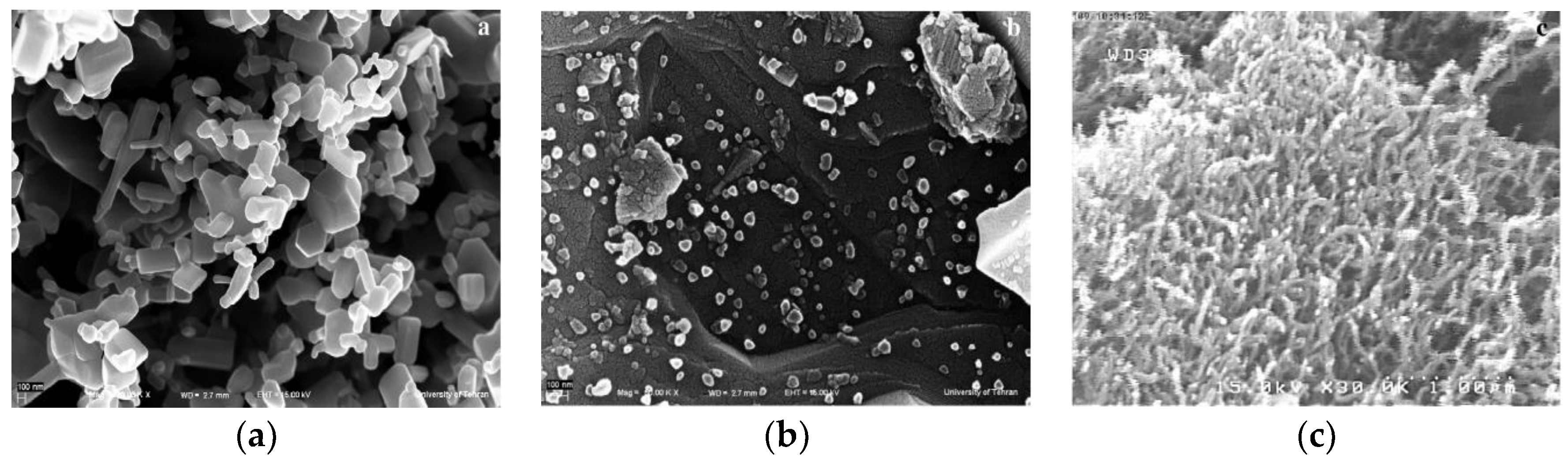 Applsci 09 02818 g006