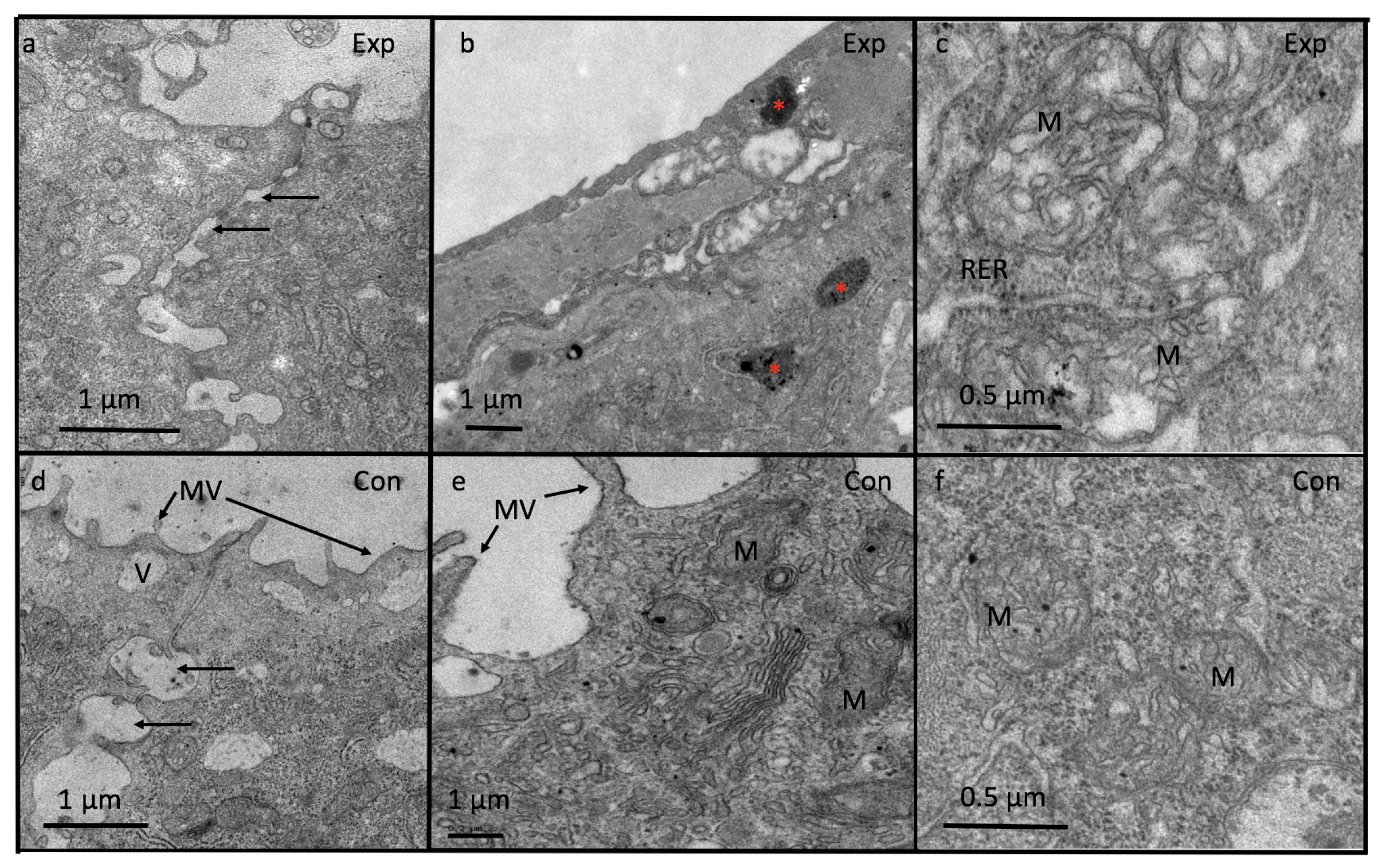 Applsci 09 02860 g009