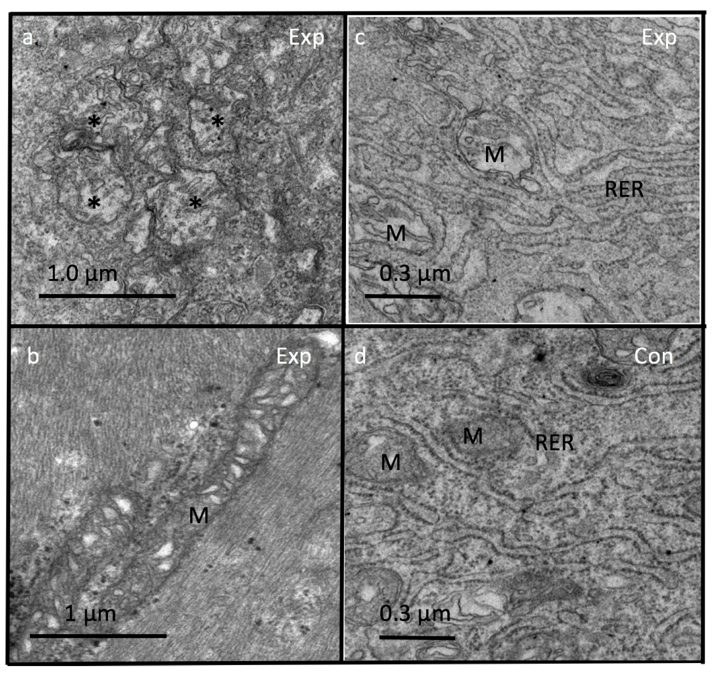 Applsci 09 02860 g010
