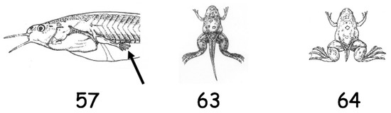 Applsci 09 02860 g0a1