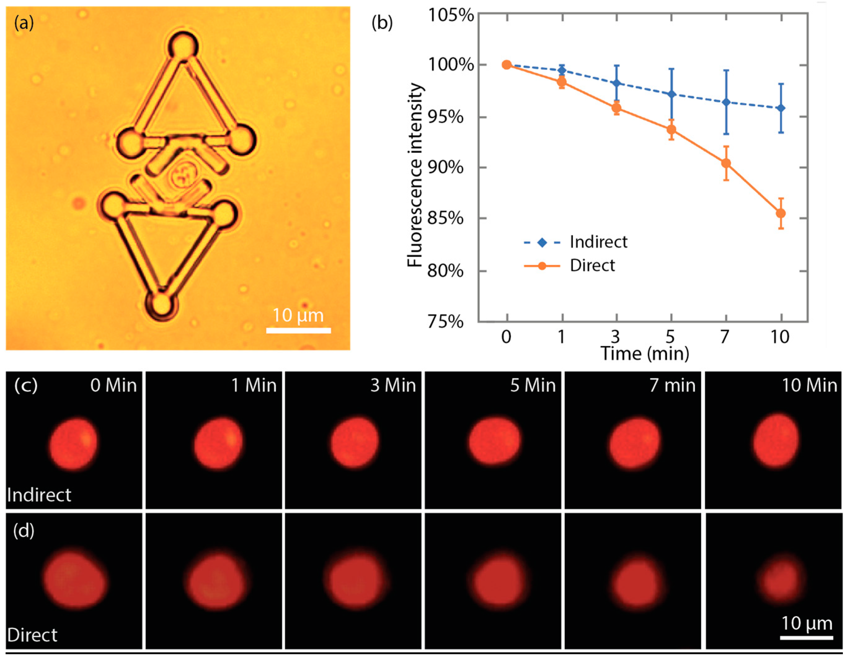 Applsci 09 02883 g013