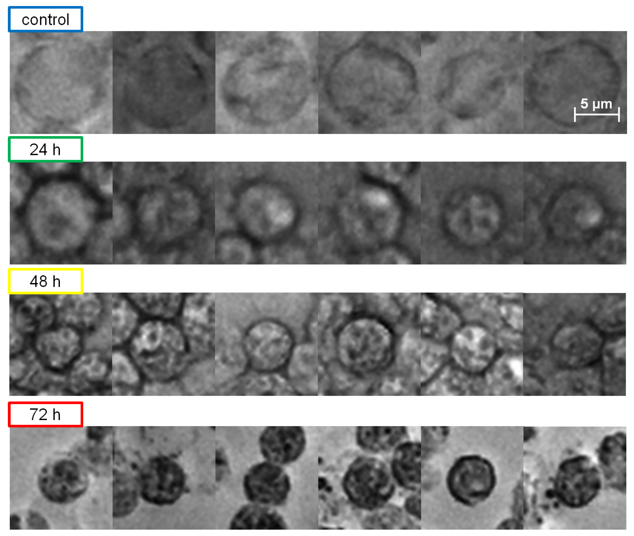 Applsci 09 02886 g013 Applsci 09 02886 g013