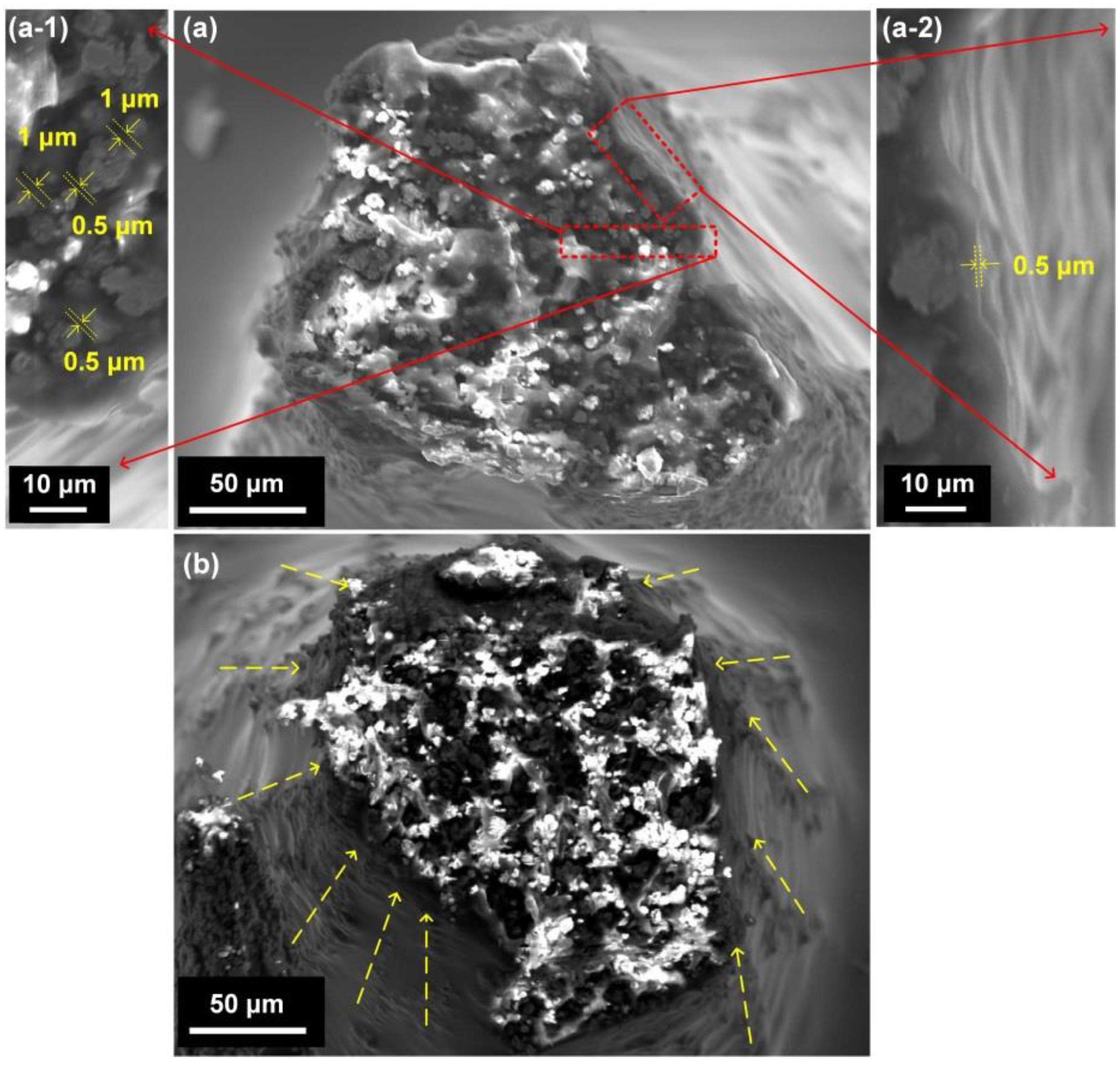 Applsci 09 02919 g007