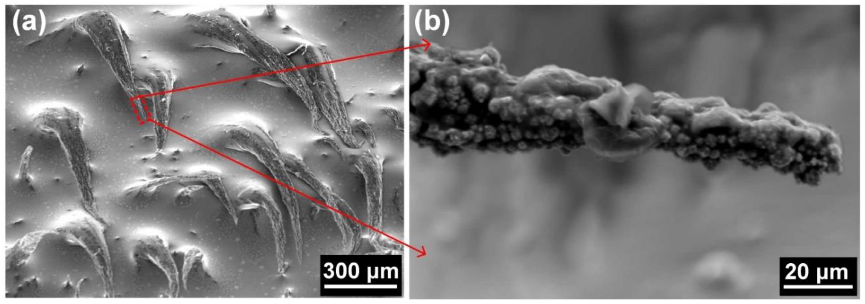 Applsci 09 02919 g009