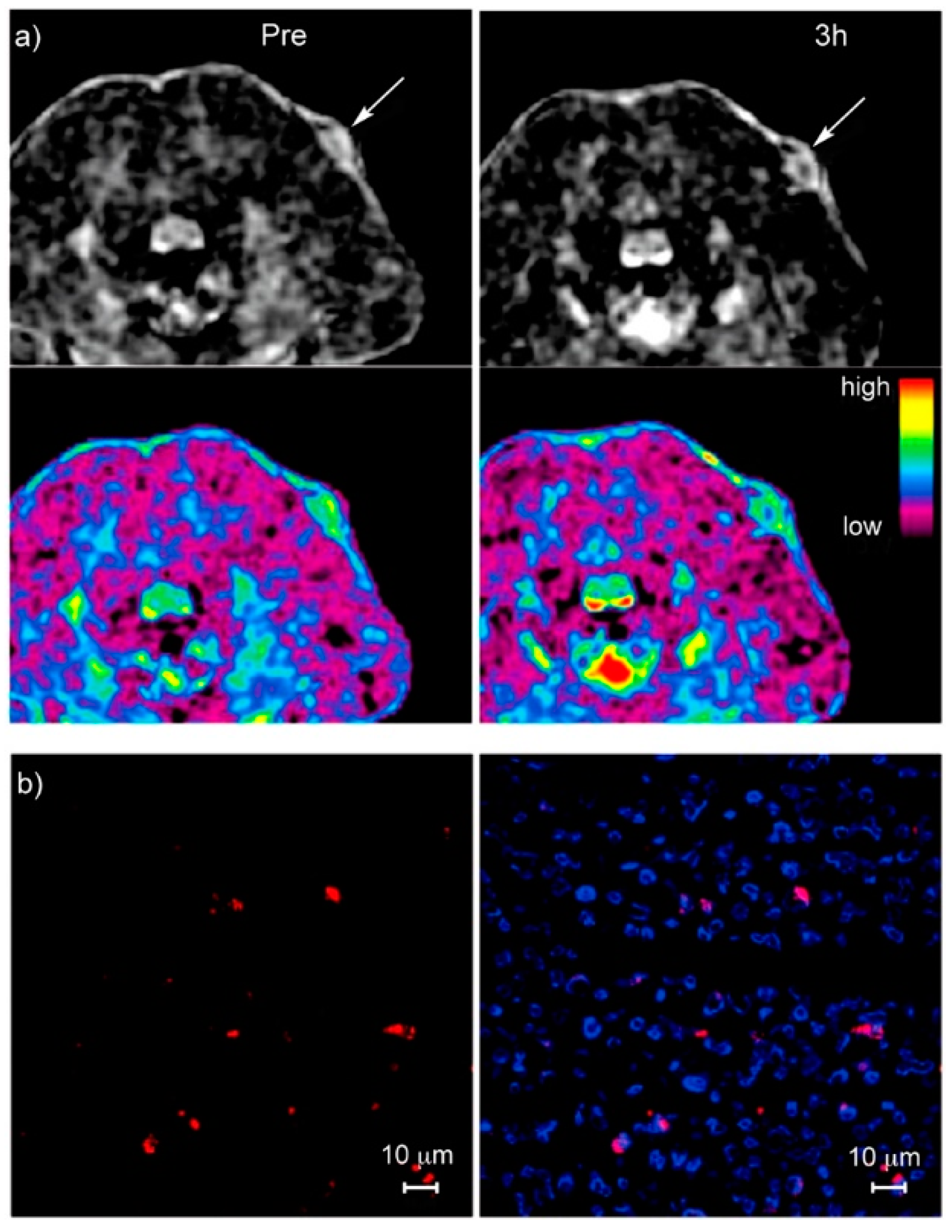 Applsci 09 02927 g010 Applsci 09 02927 g010