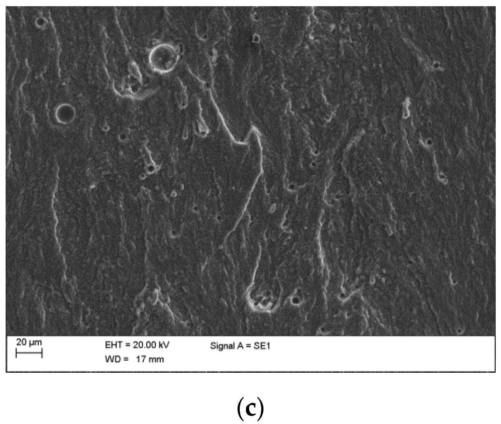 Applsci 09 02954 g005b