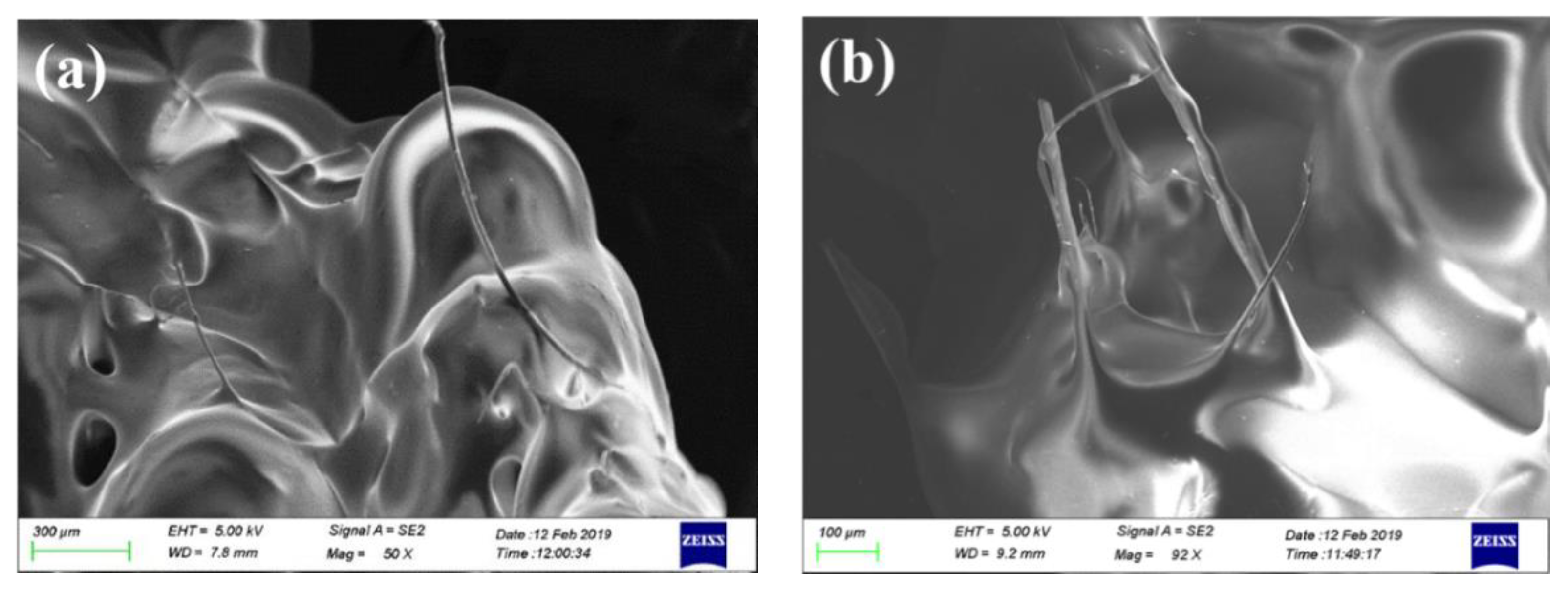 Applsci 09 02995 g009 Applsci 09 02995 g009