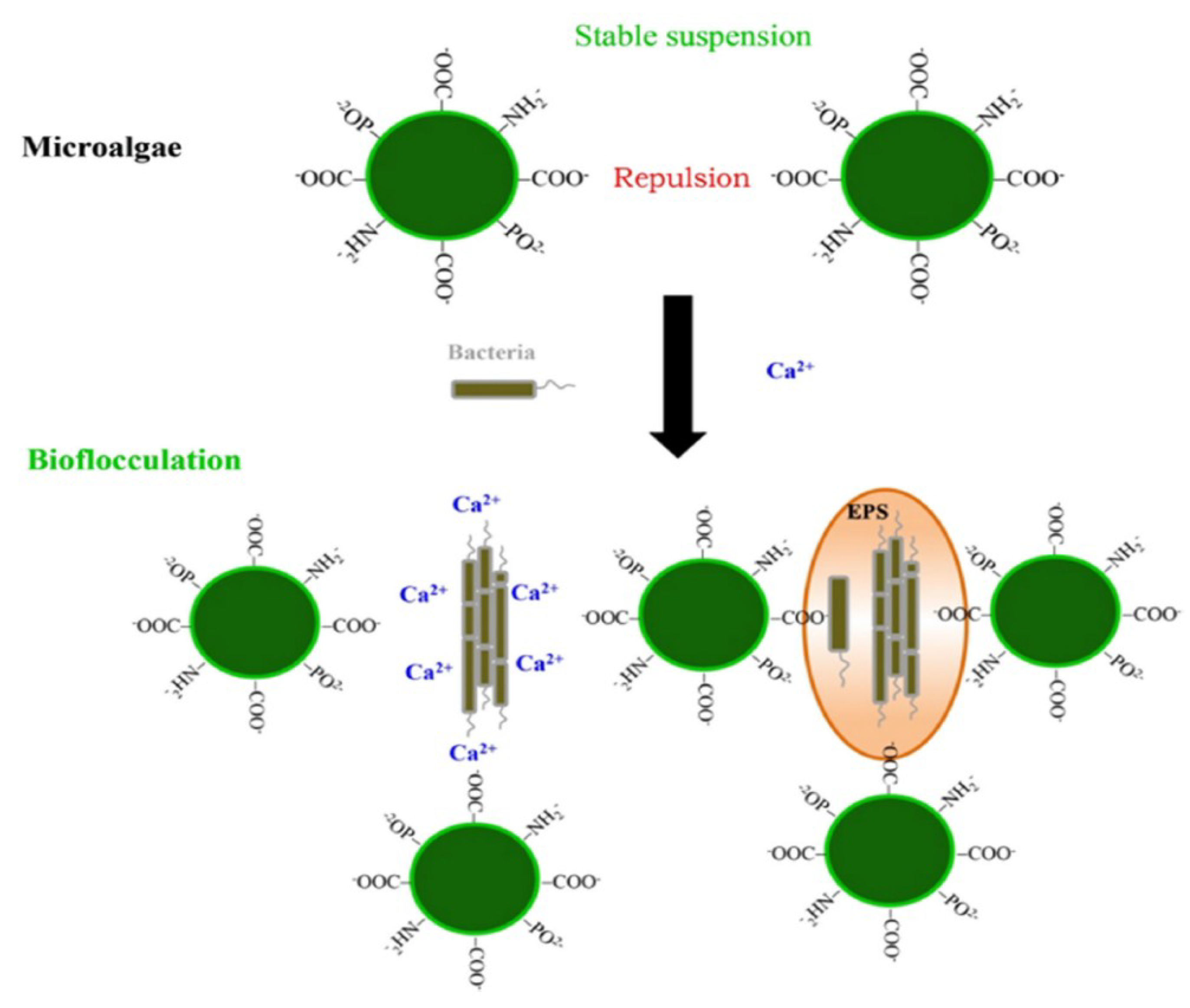 Applsci 09 03069 g003