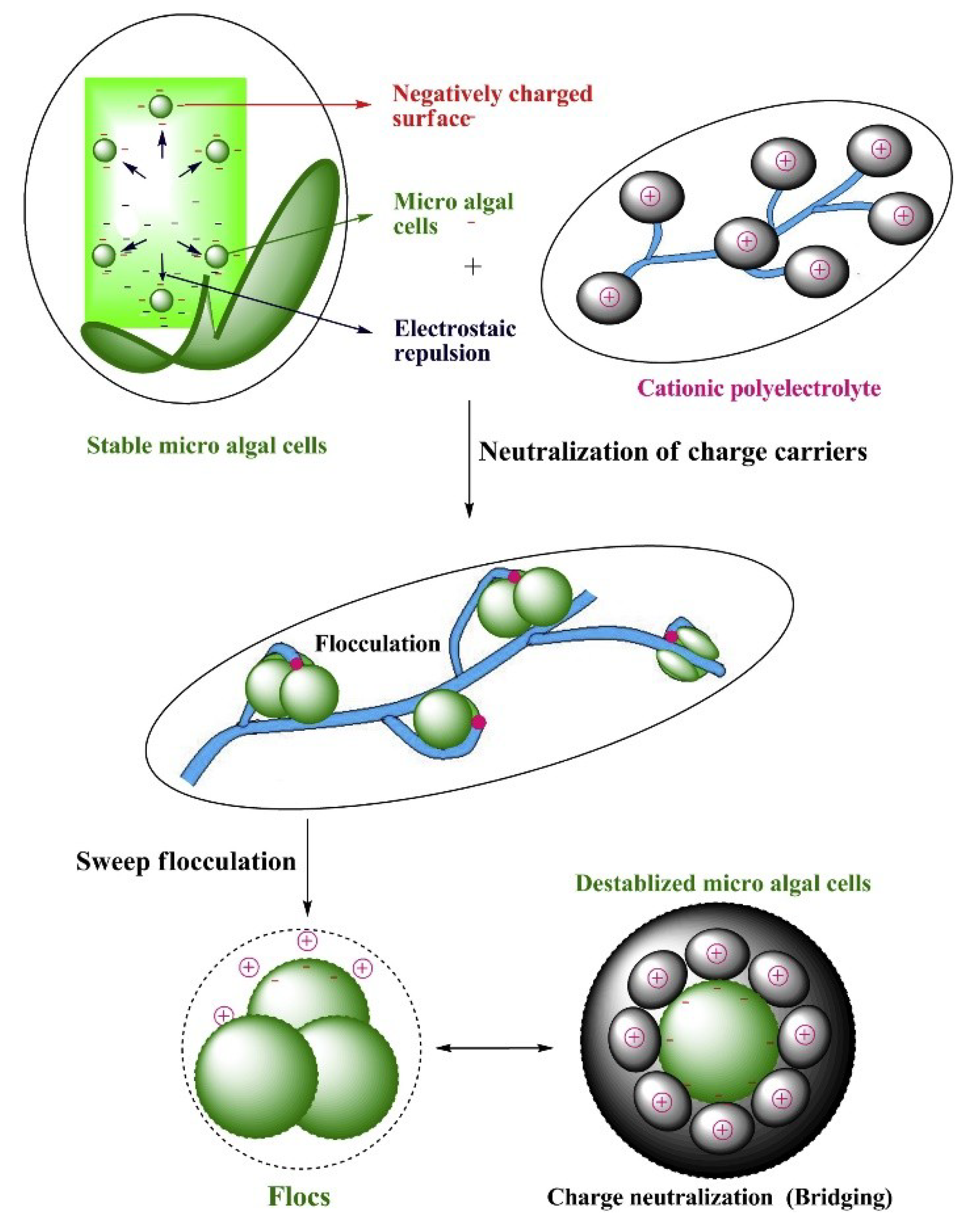 Applsci 09 03069 g004