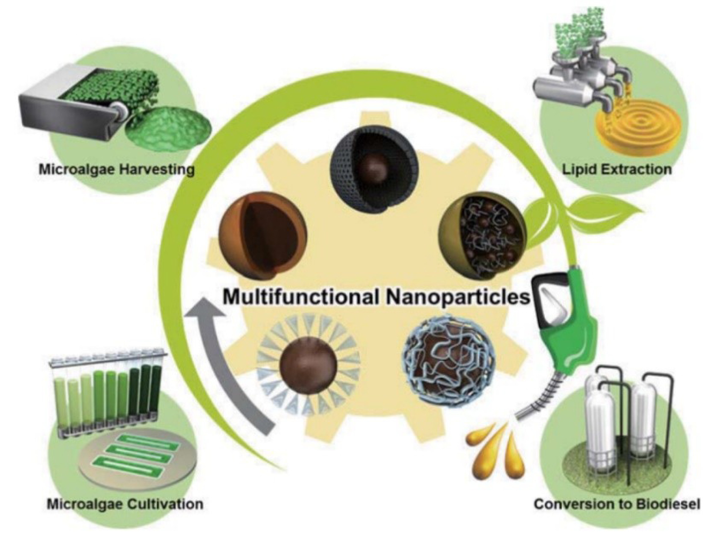 Applsci 09 03069 g006