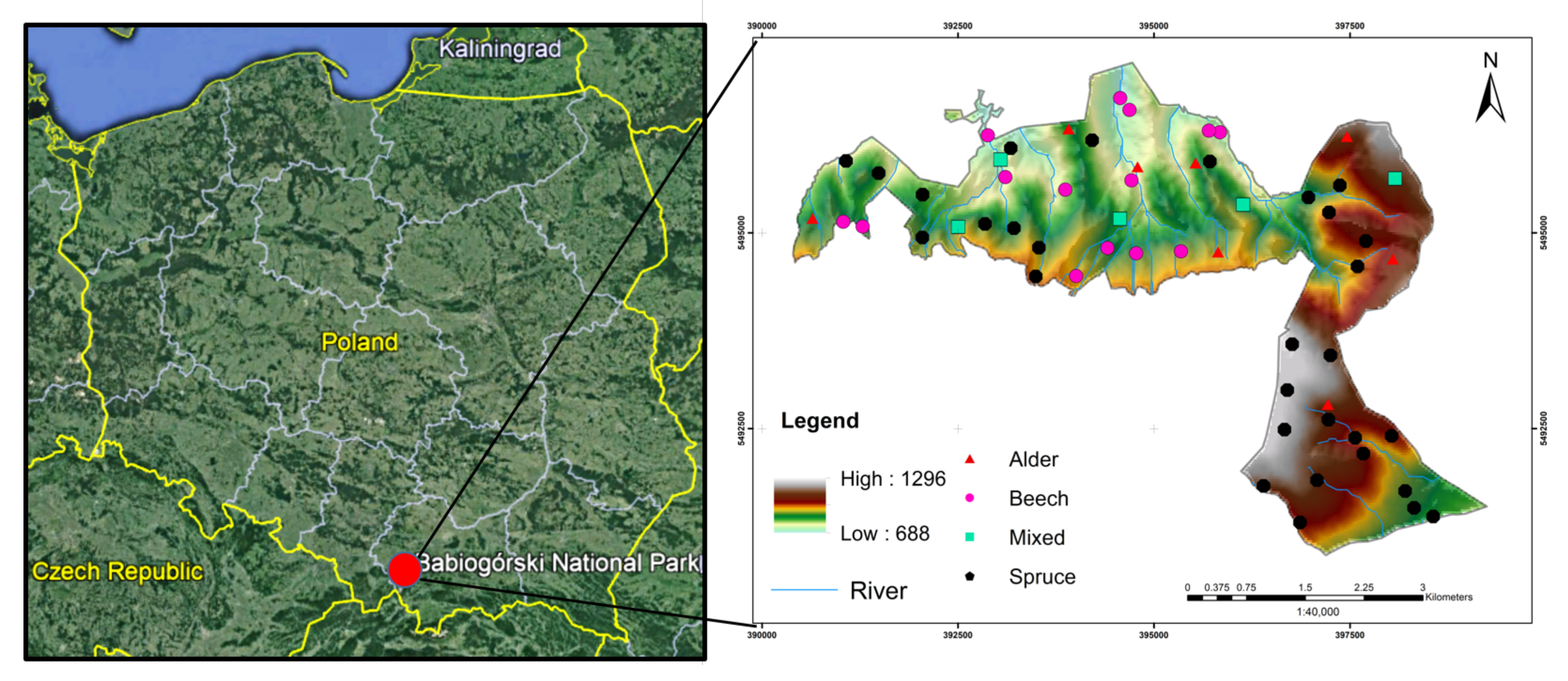 Applsci 09 03070 g001