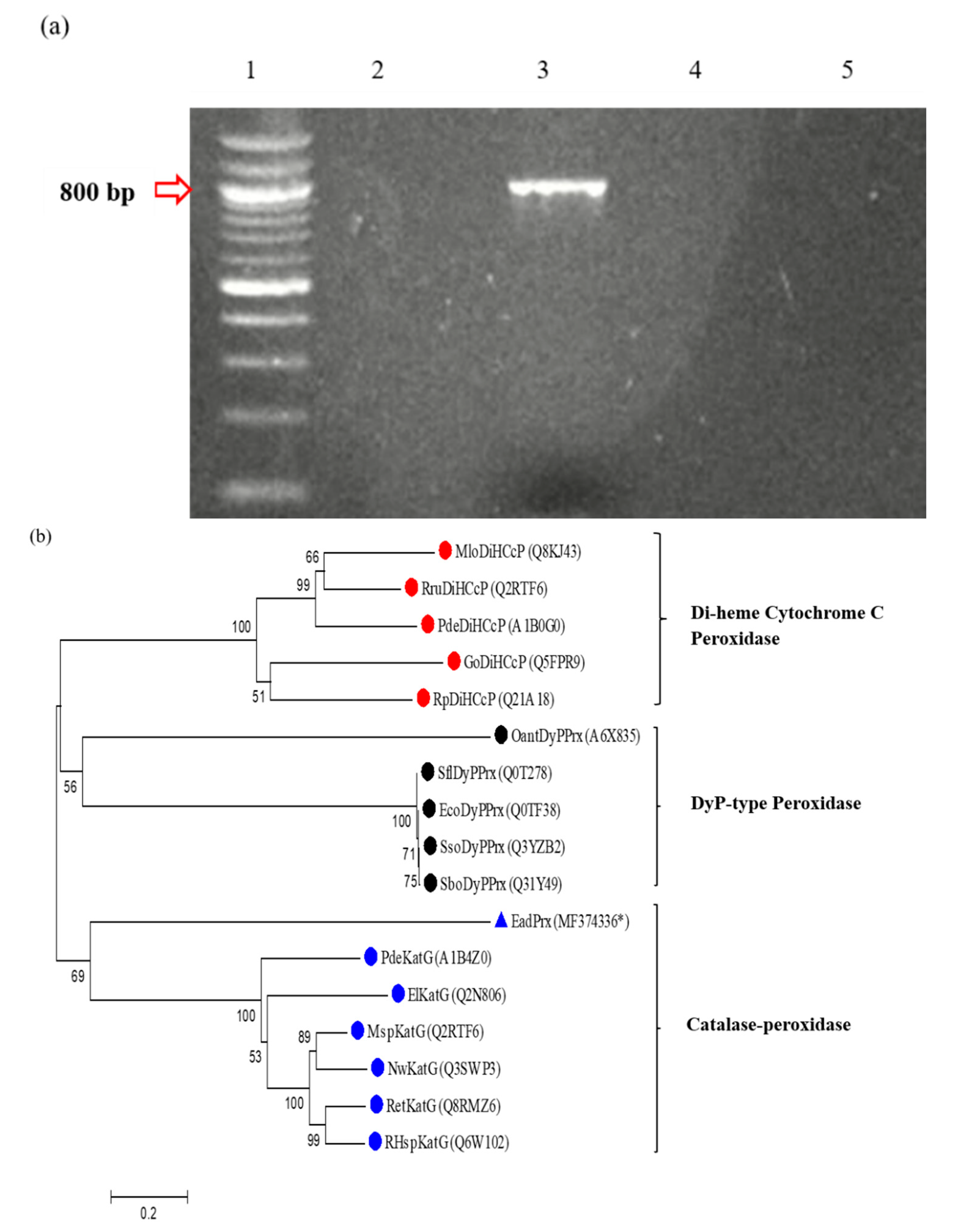Applsci 09 03121 g004