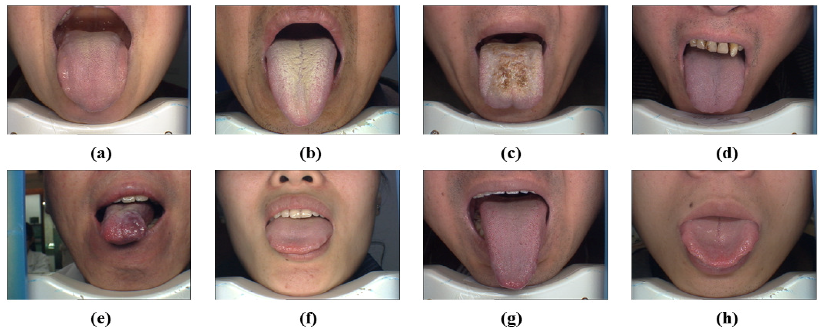 Applsci 09 03128 g001