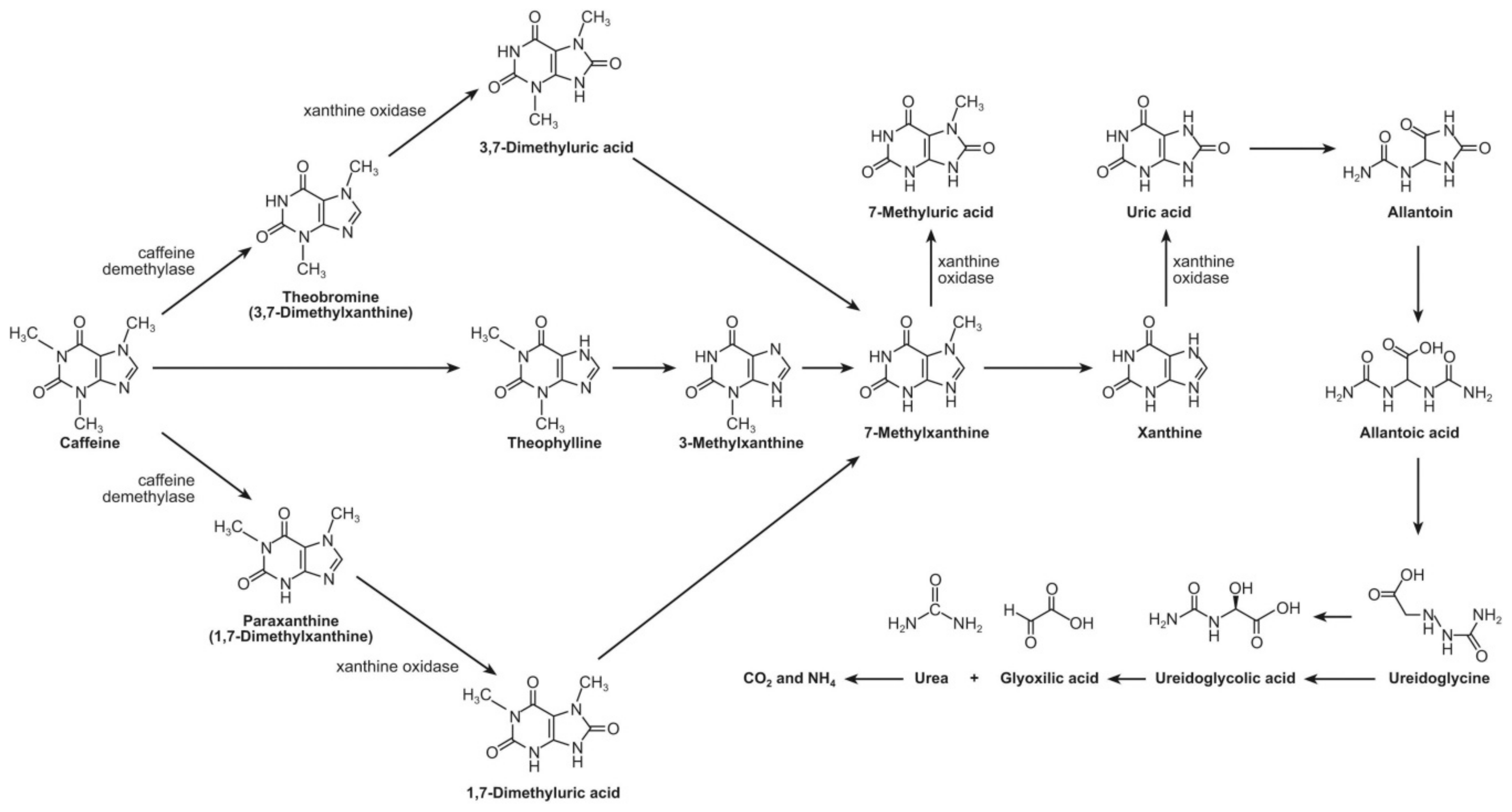 Applsci 09 03155 g007