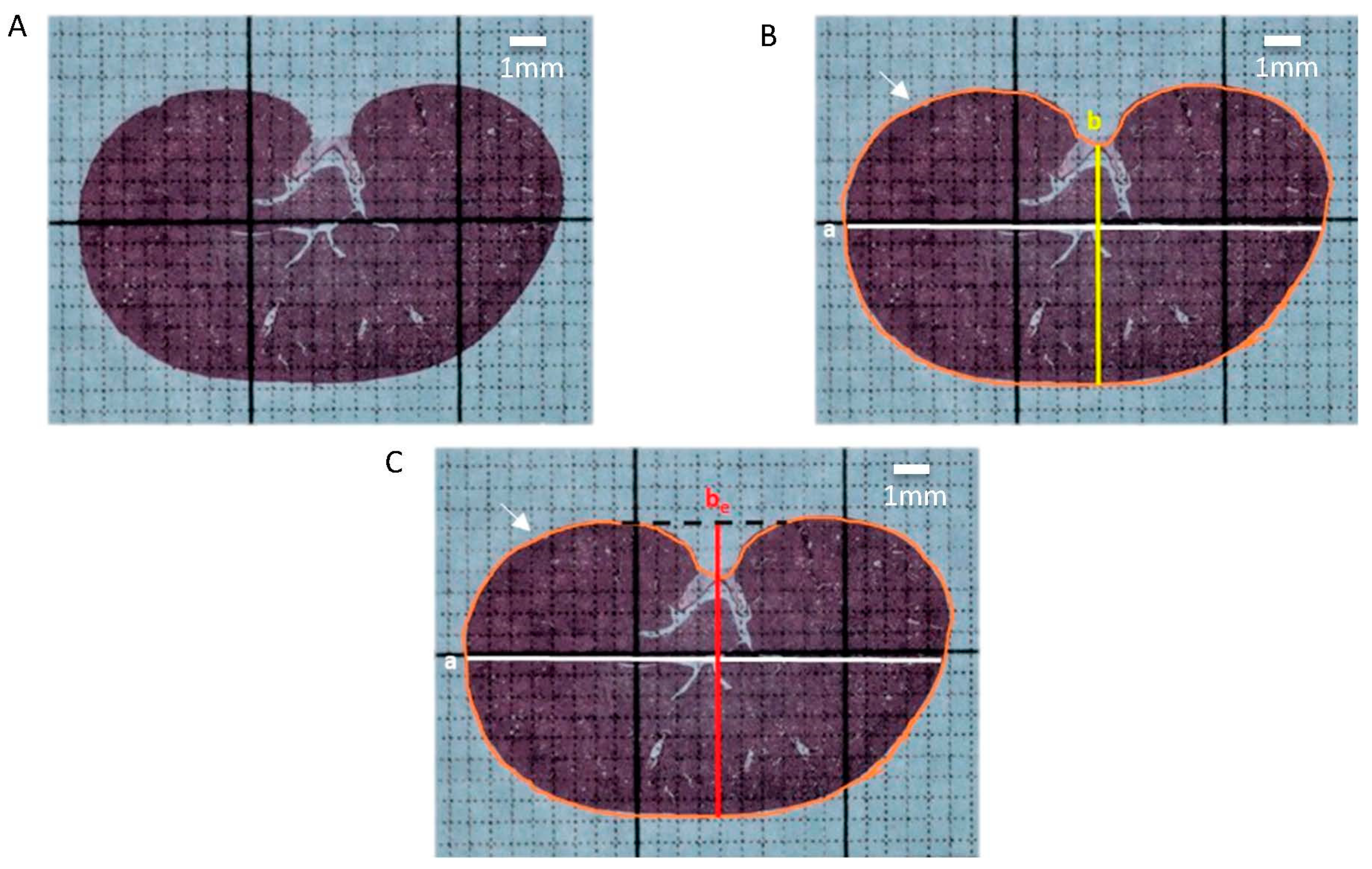 Applsci 09 03198 g001