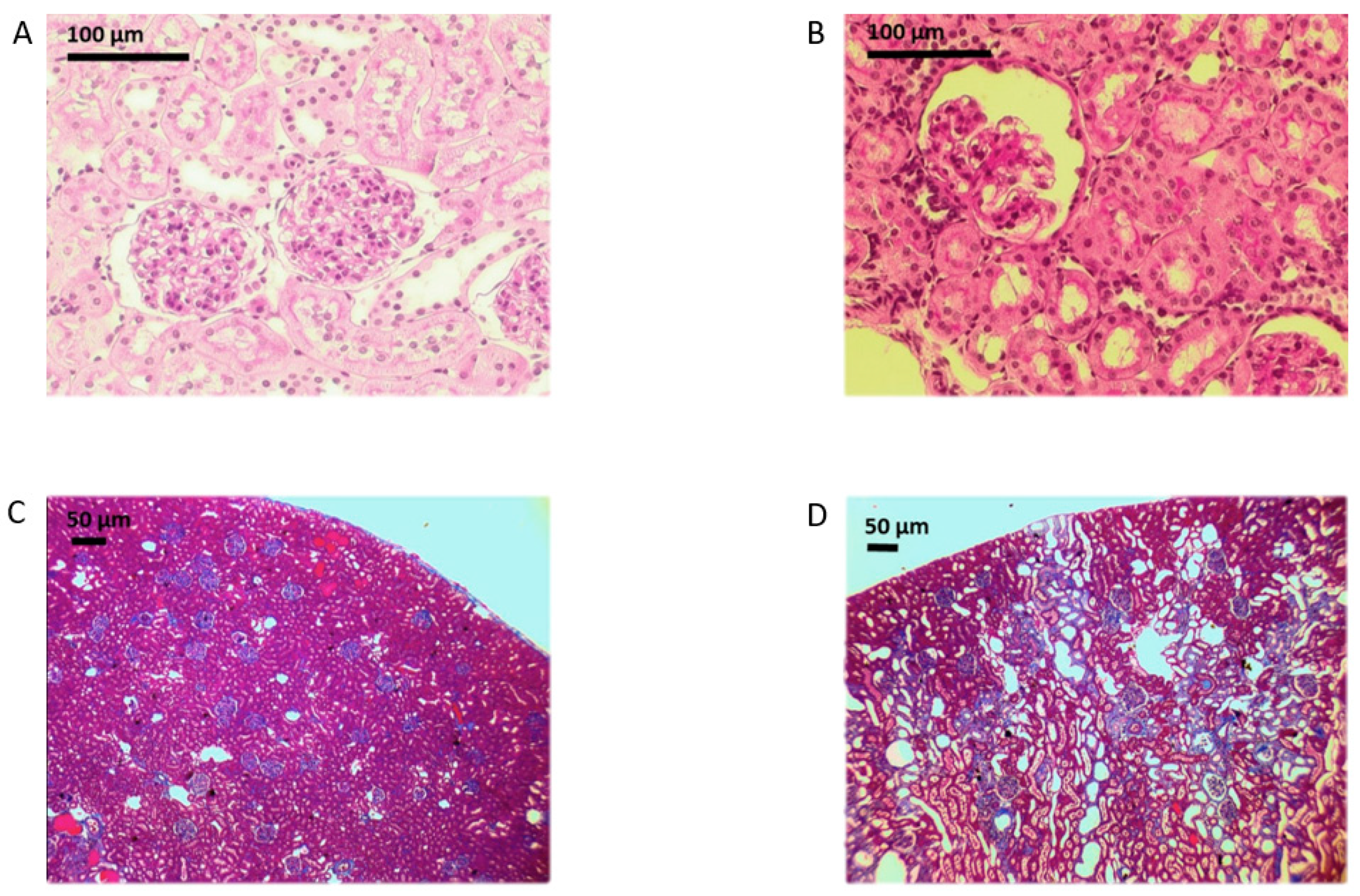 Applsci 09 03198 g002