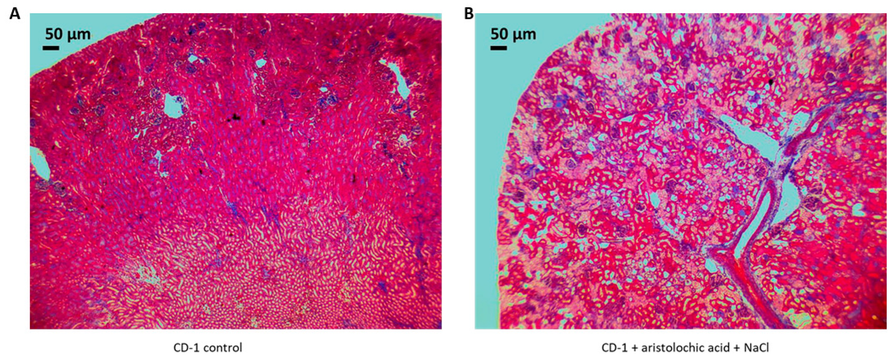 Applsci 09 03198 g005