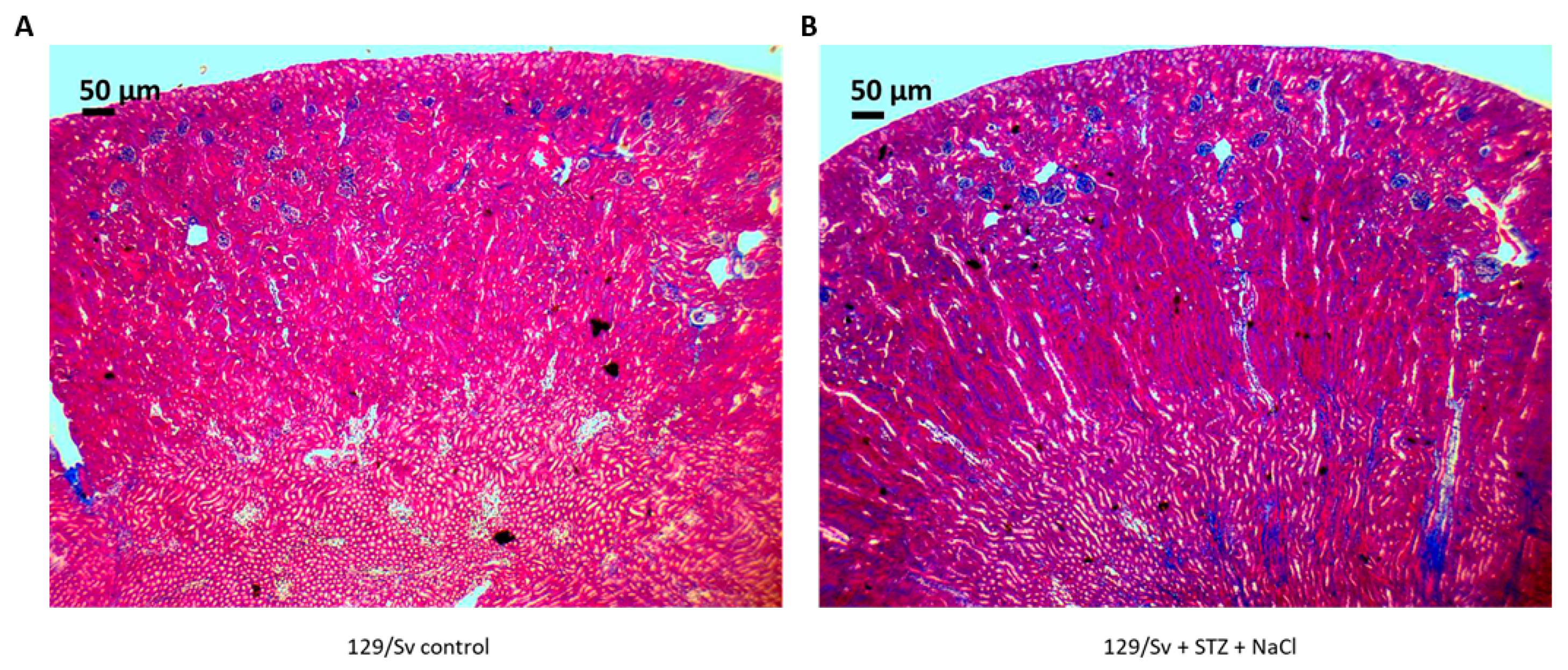 Applsci 09 03198 g007