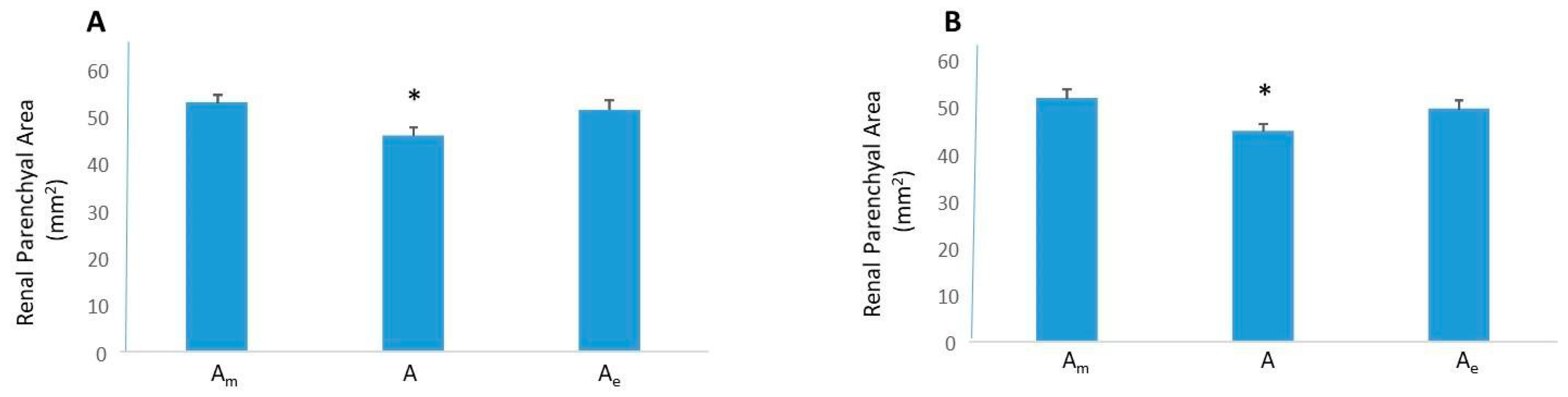 Applsci 09 03198 g008