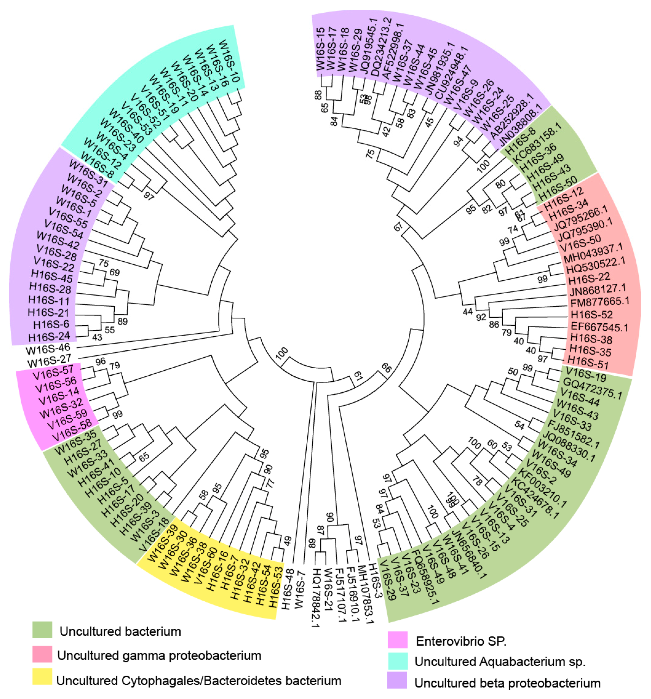 Applsci 09 03229 g001