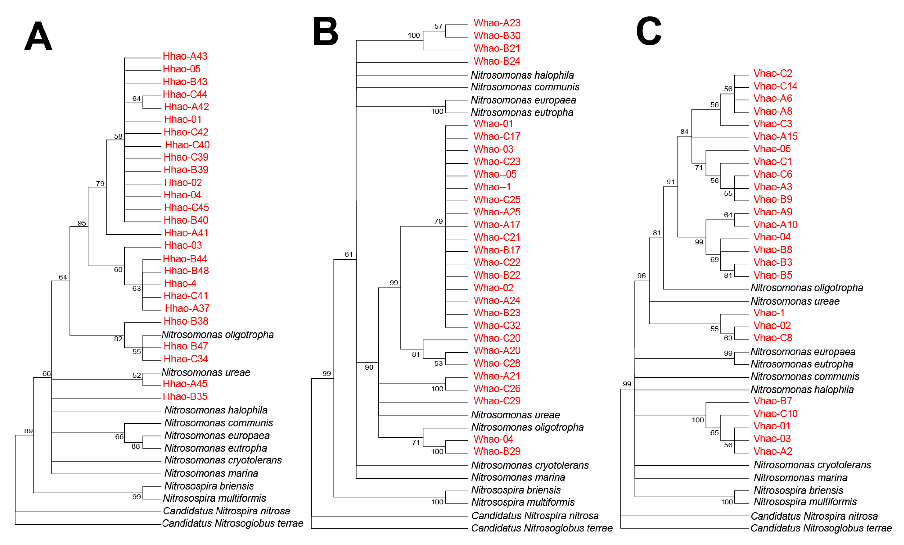 Applsci 09 03229 g002