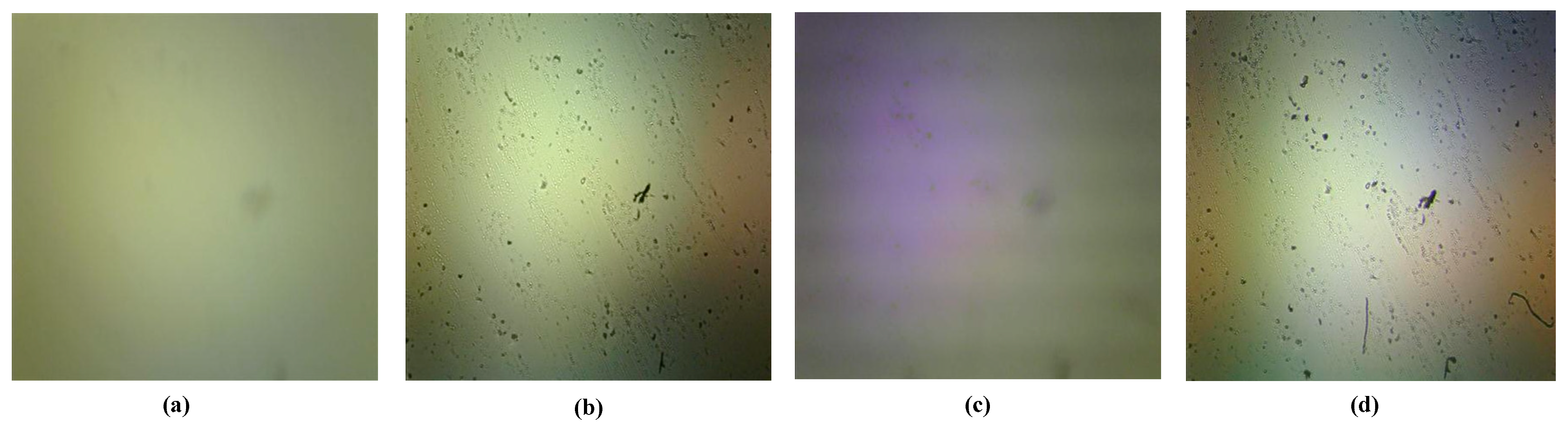 Applsci 09 03238 g011