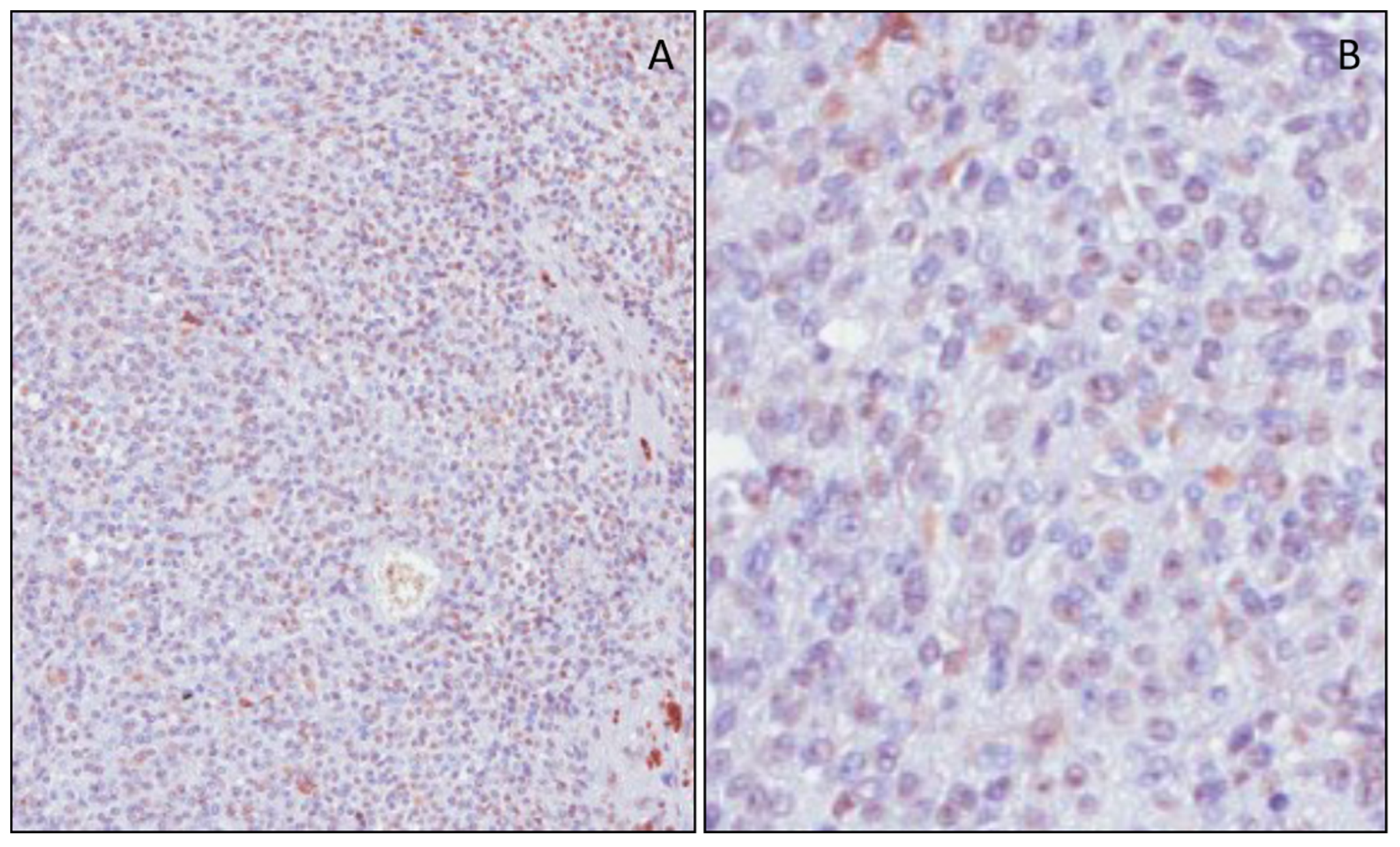 Applsci 09 03244 g001