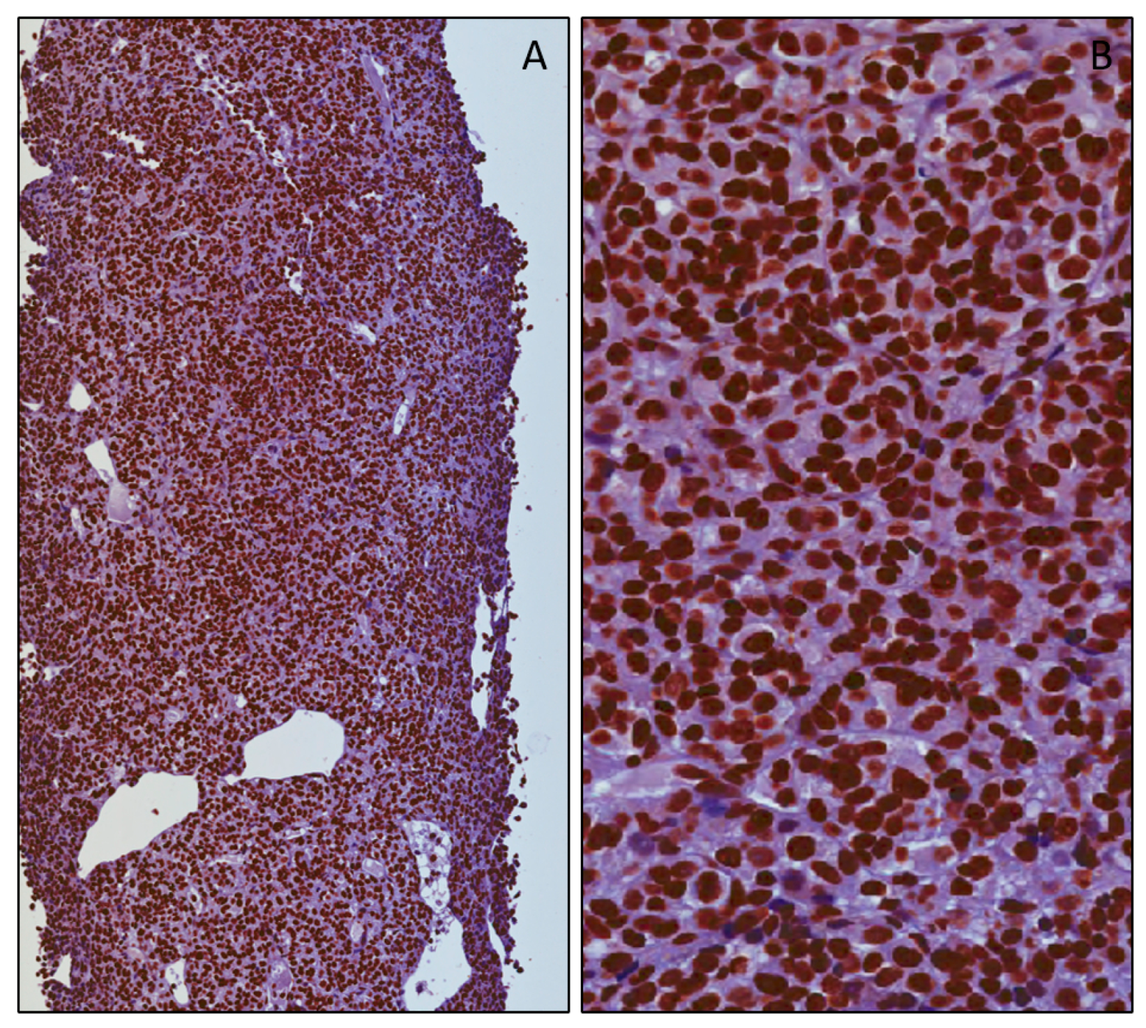 Applsci 09 03244 g003