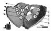 Applsci 09 03310 i009