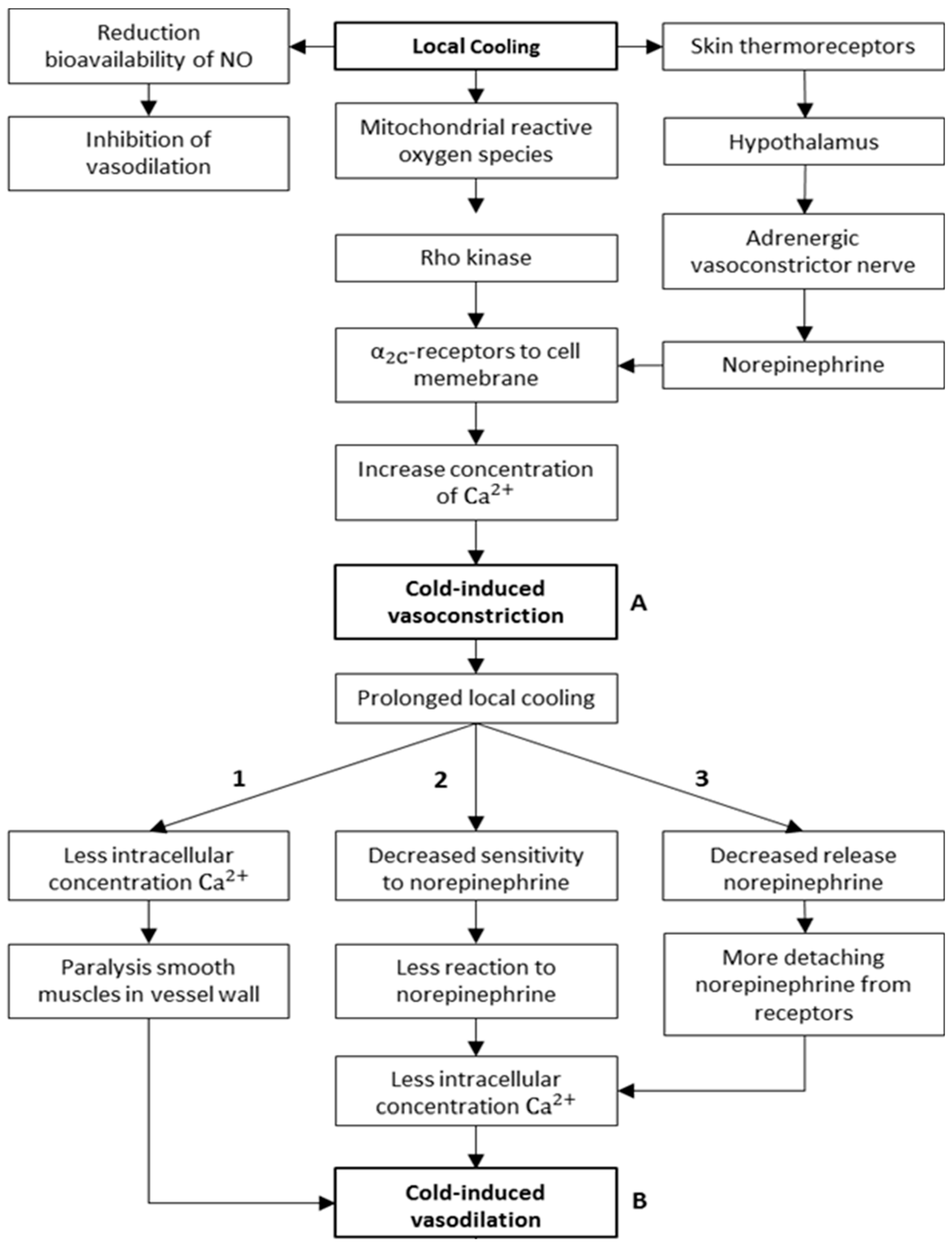 Applsci 09 03372 g012