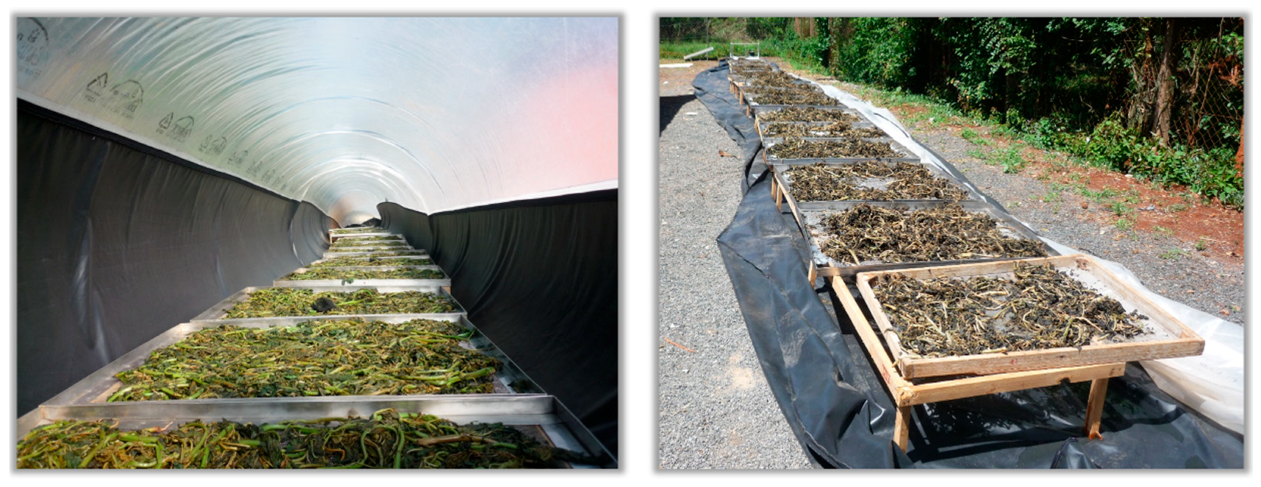 Applsci 09 03431 g002