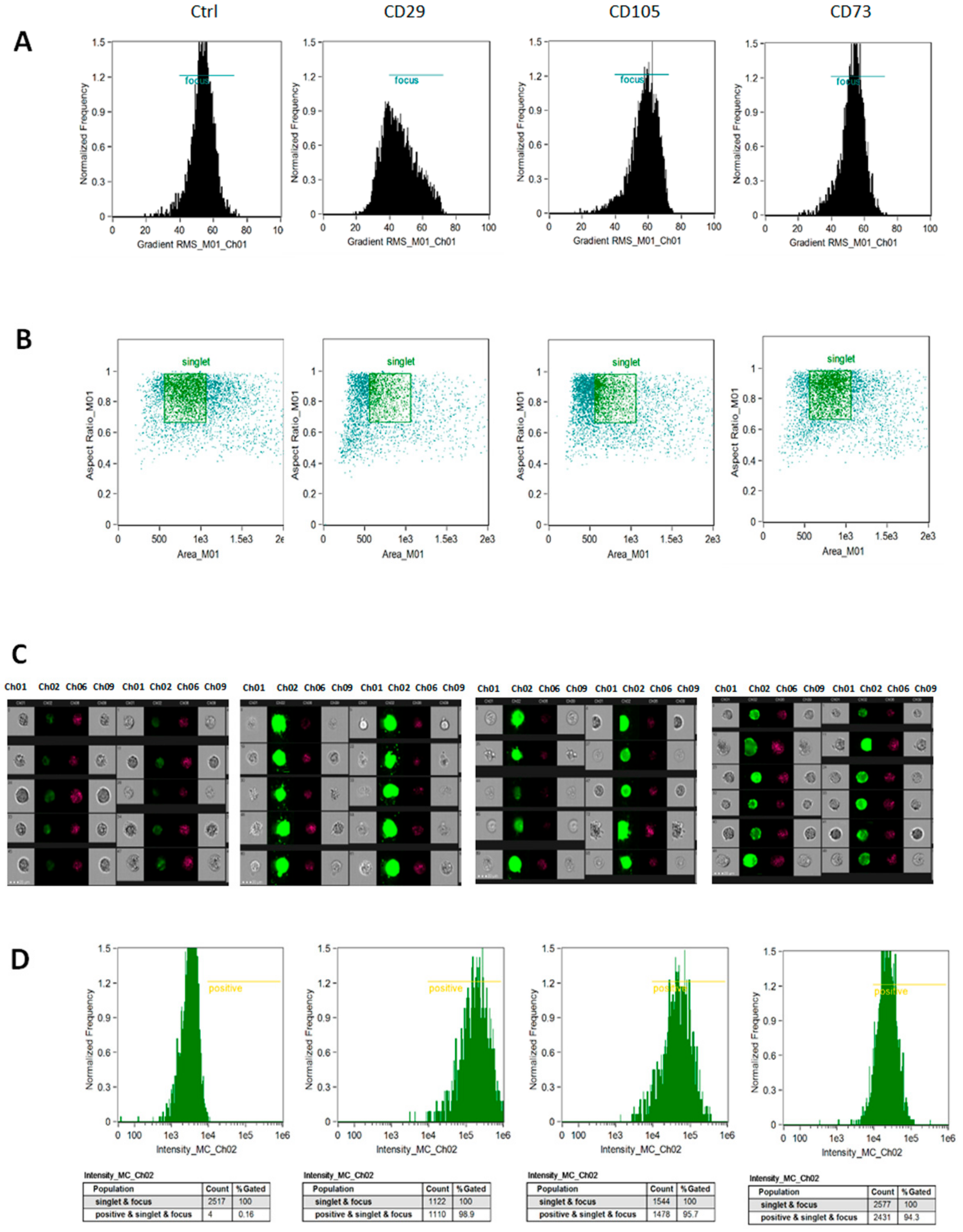 Applsci 09 03471 g002