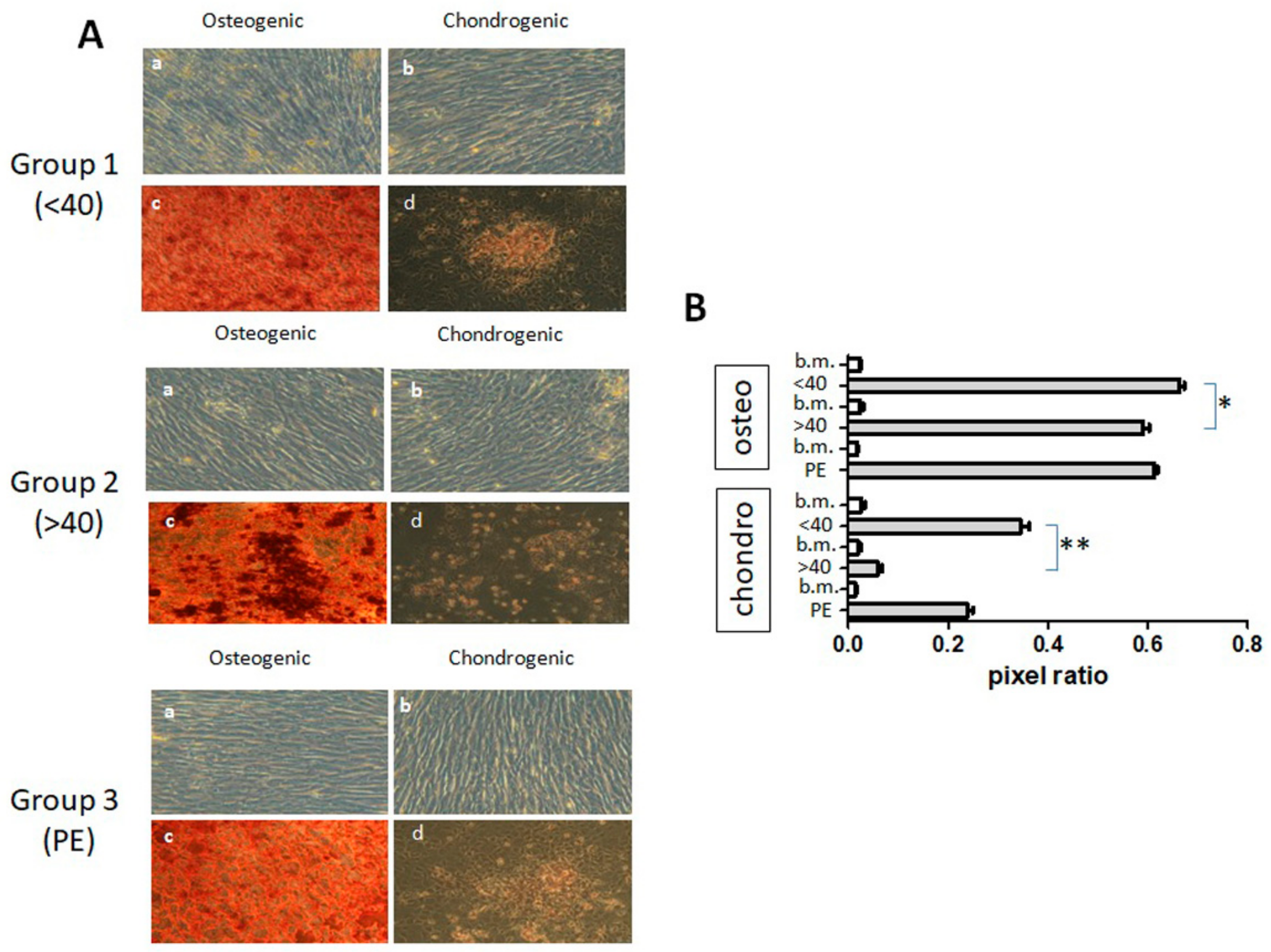 Applsci 09 03471 g004