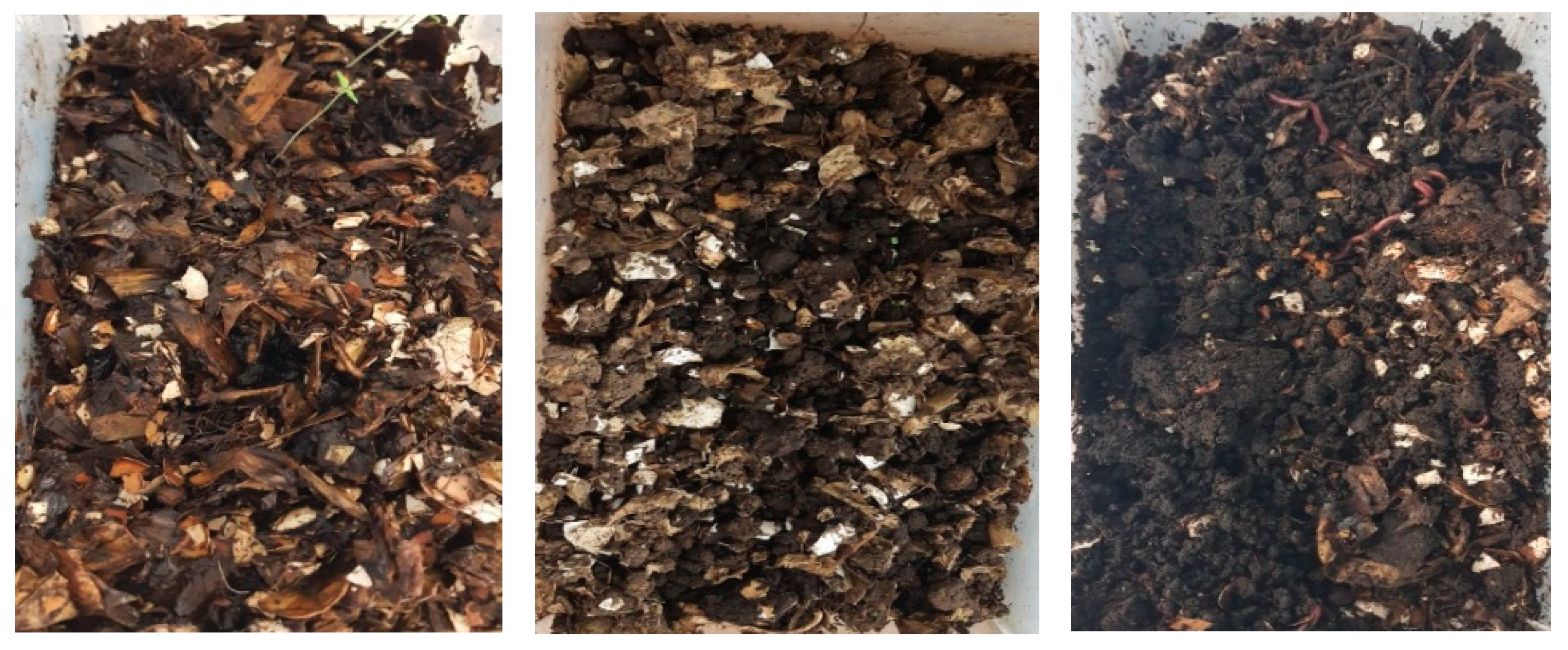 Applsci 09 03564 g008 Applsci 09 03564 g008