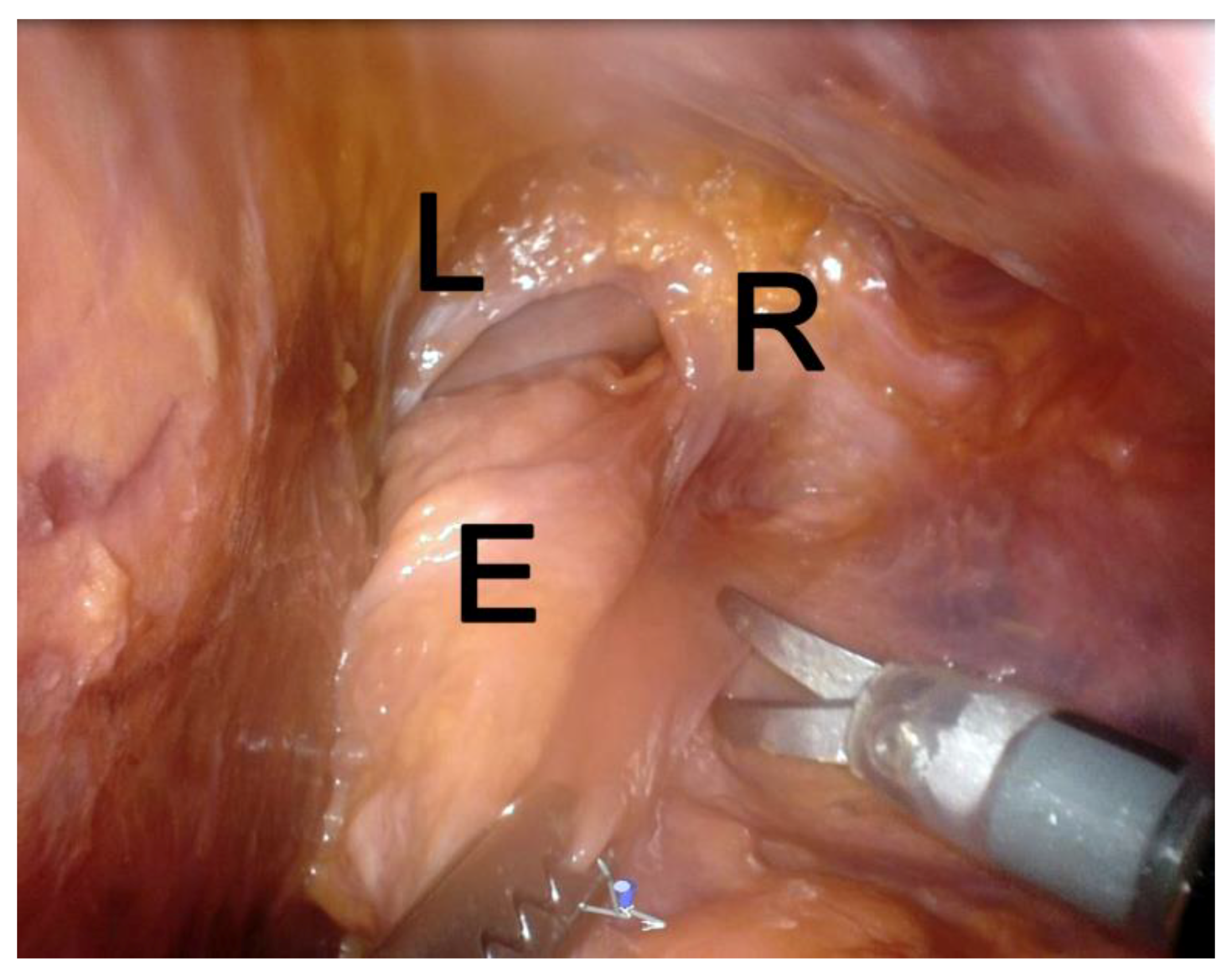 Applsci 09 03572 g006 Applsci 09 03572 g006